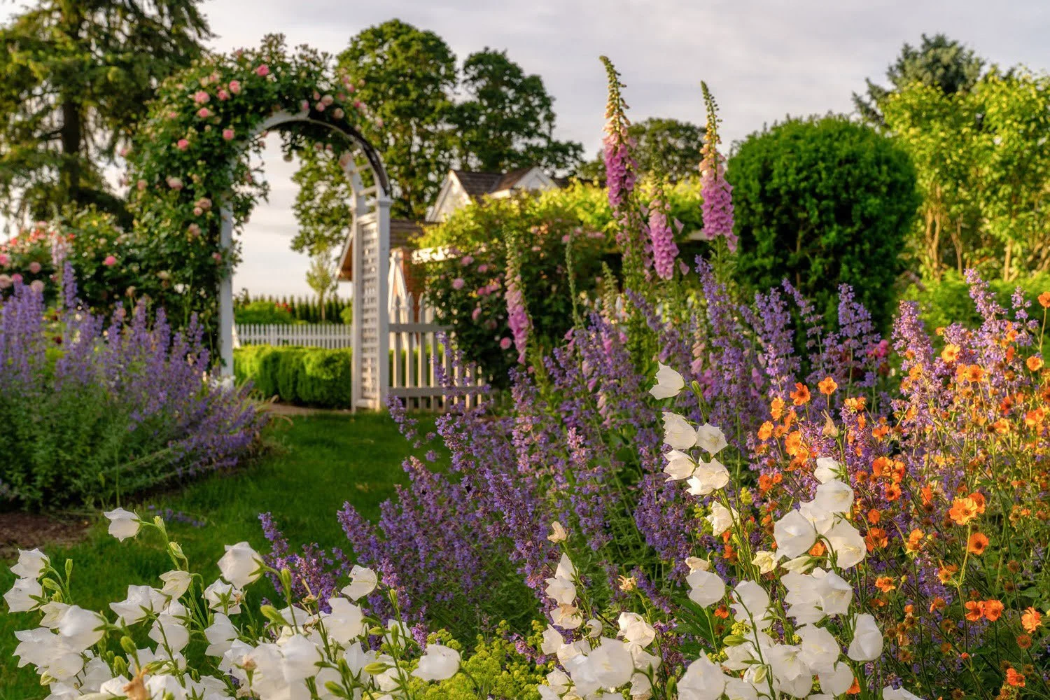 059_Garden Photography by Wasim Muklashy.jpg