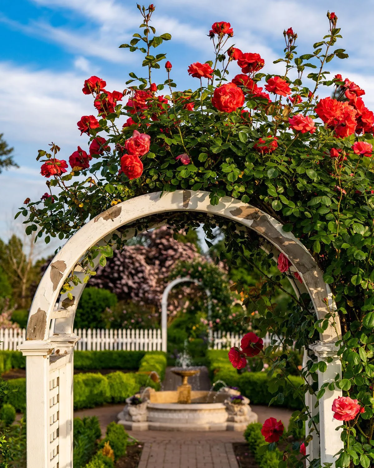 061_Garden Photography by Wasim Muklashy.jpg