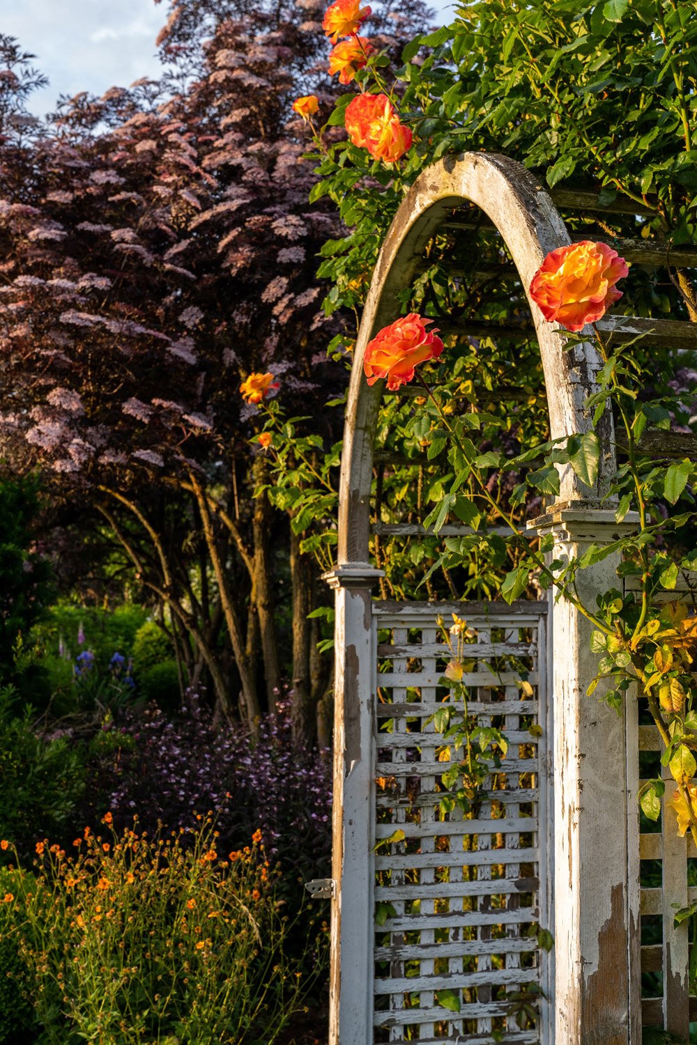 066_Garden Photography by Wasim Muklashy.jpg