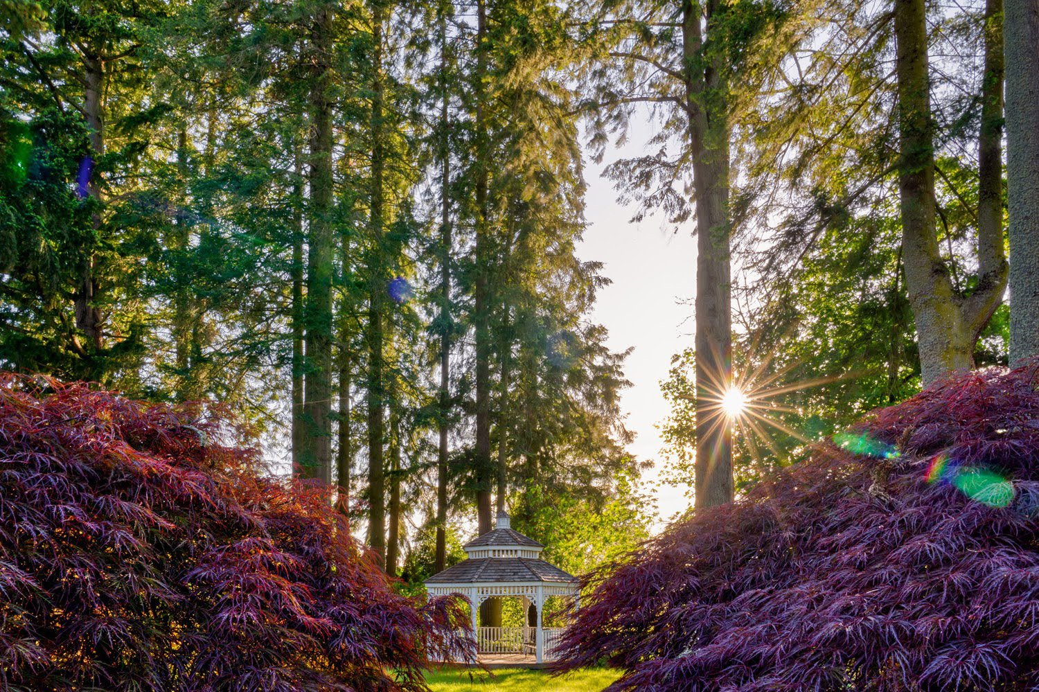 069_Garden Photography by Wasim Muklashy.jpg