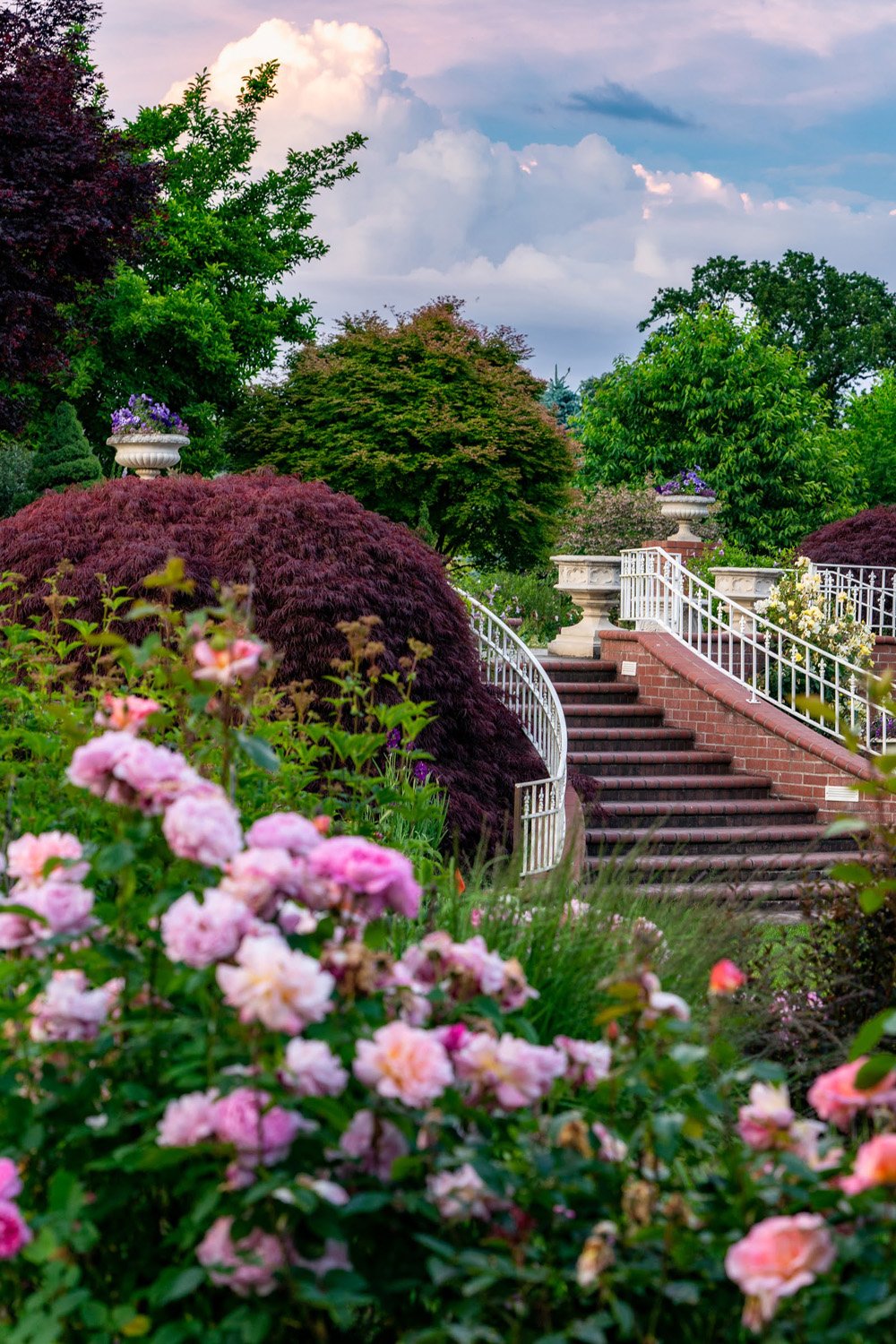 083_Garden Photography by Wasim Muklashy.jpg