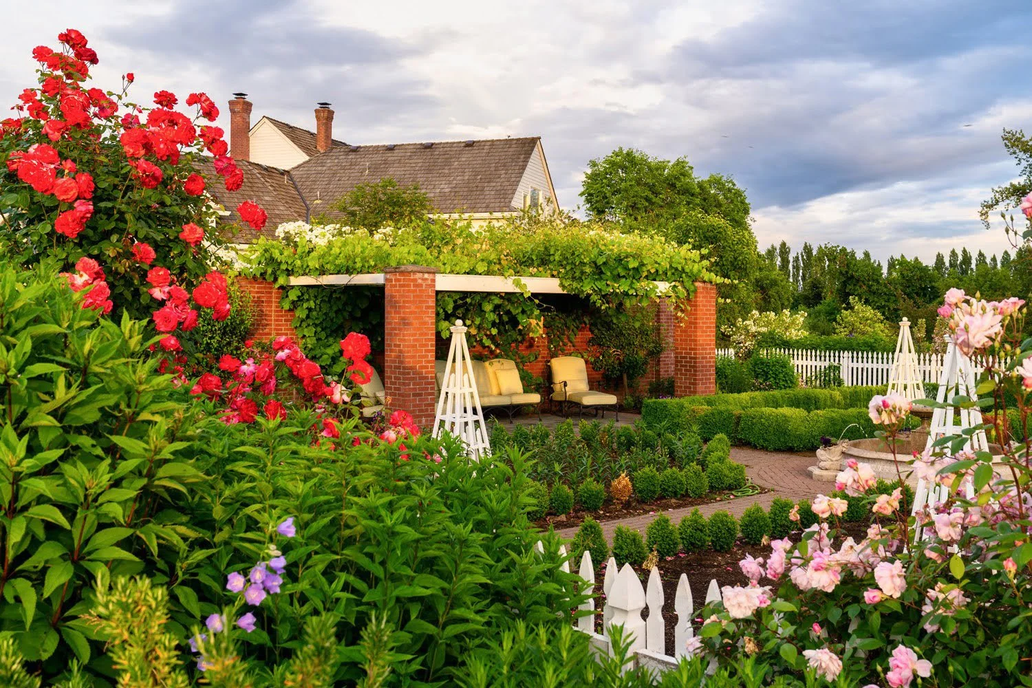 089_Garden Photography by Wasim Muklashy.jpg