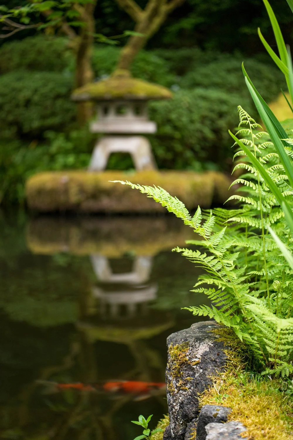 098_Garden Photography by Wasim Muklashy.jpg