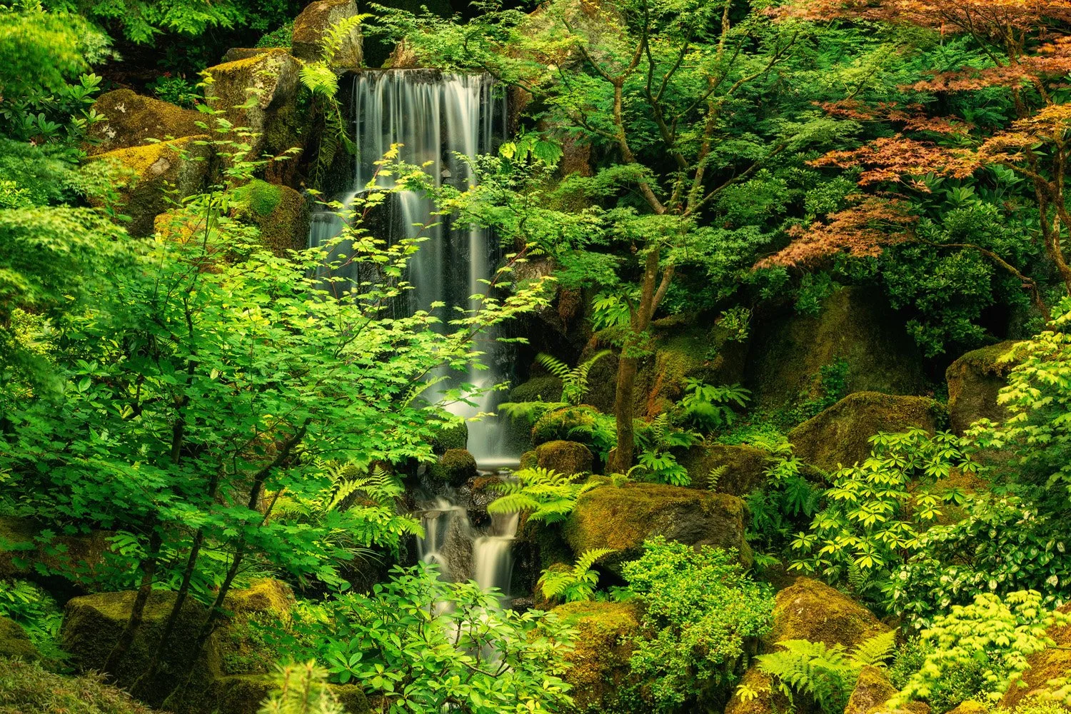 104_Garden Photography by Wasim Muklashy.jpg