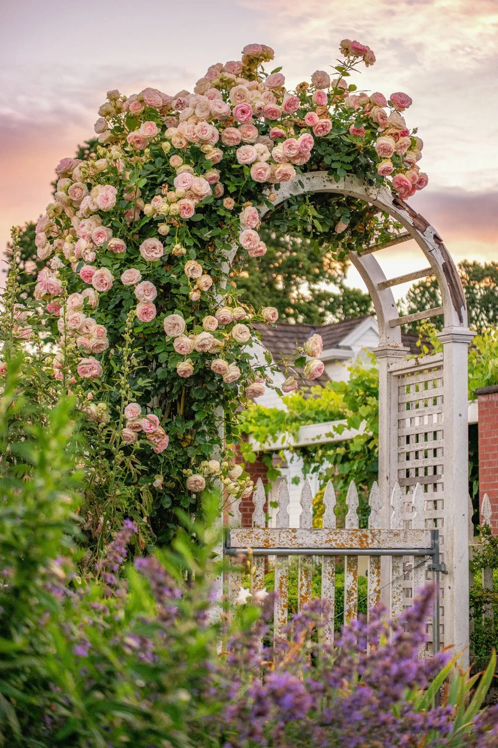 122_Garden Photography by Wasim Muklashy.jpg