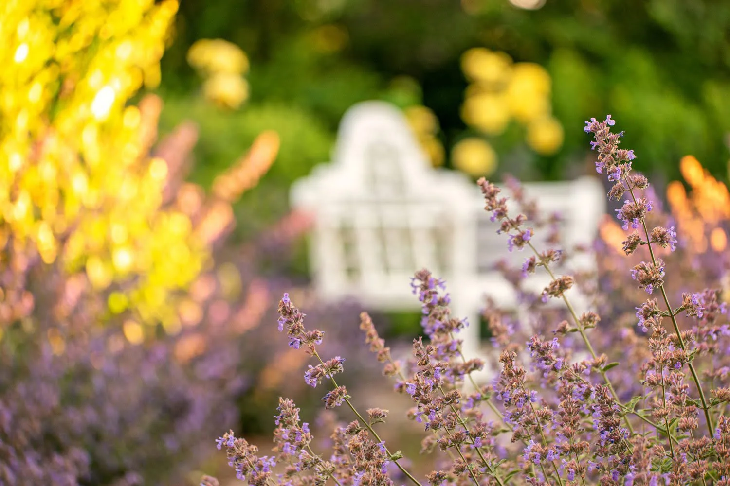 175_Garden Photography by Wasim Muklashy.jpg