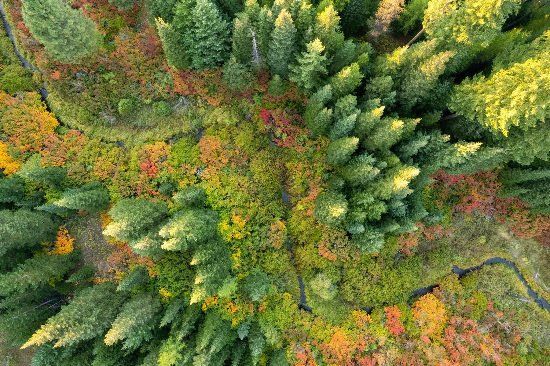 03_Metolius Preserve_Deschutes Land Trust_Sisters Oregon_Photography by Wasim Muklashy_Aerial.jpg