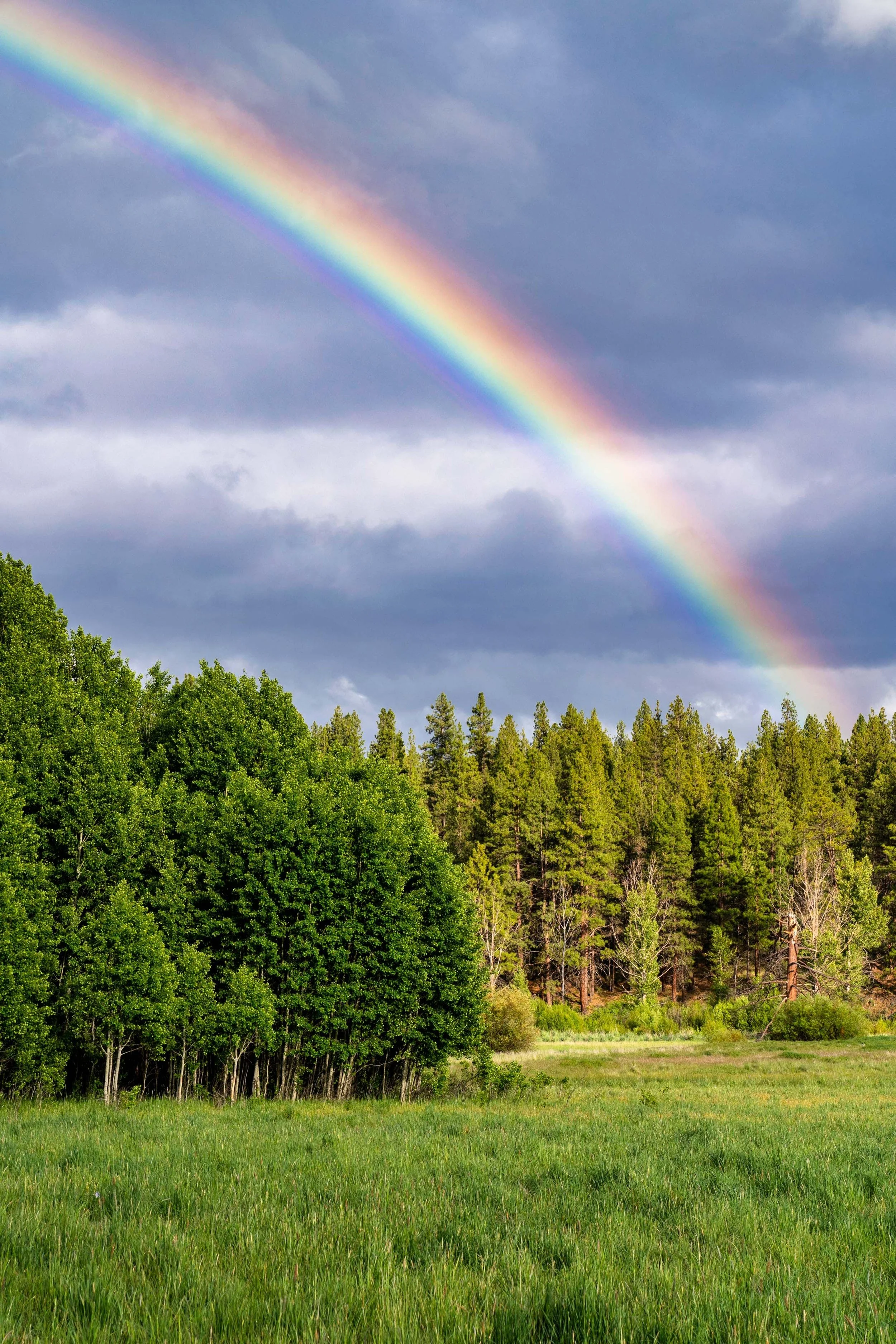 013_Camp Polk Meadow Preserve_Spring 2022_Deschutes Land Trust_Photography by Wasim Muklashy_webres.jpg