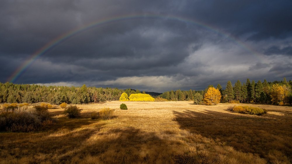 101_Fall 2023_Camp Polk Meadow Preserve_Deschutes Land Trust_Sisters Oregon_Photography by Wasim Muklashy_2400px-webres.jpg