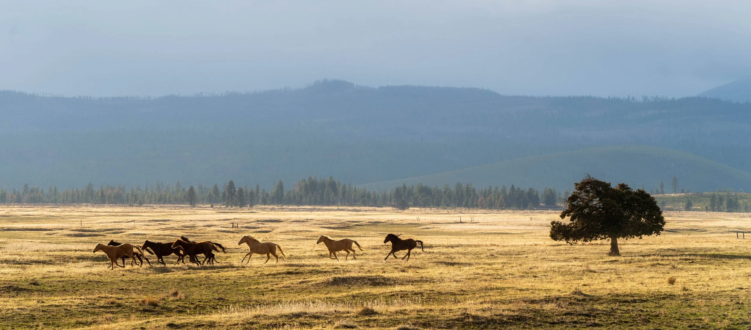 109_Central Oregon Landscape_Photography by Wasim Muklashy_web.jpg