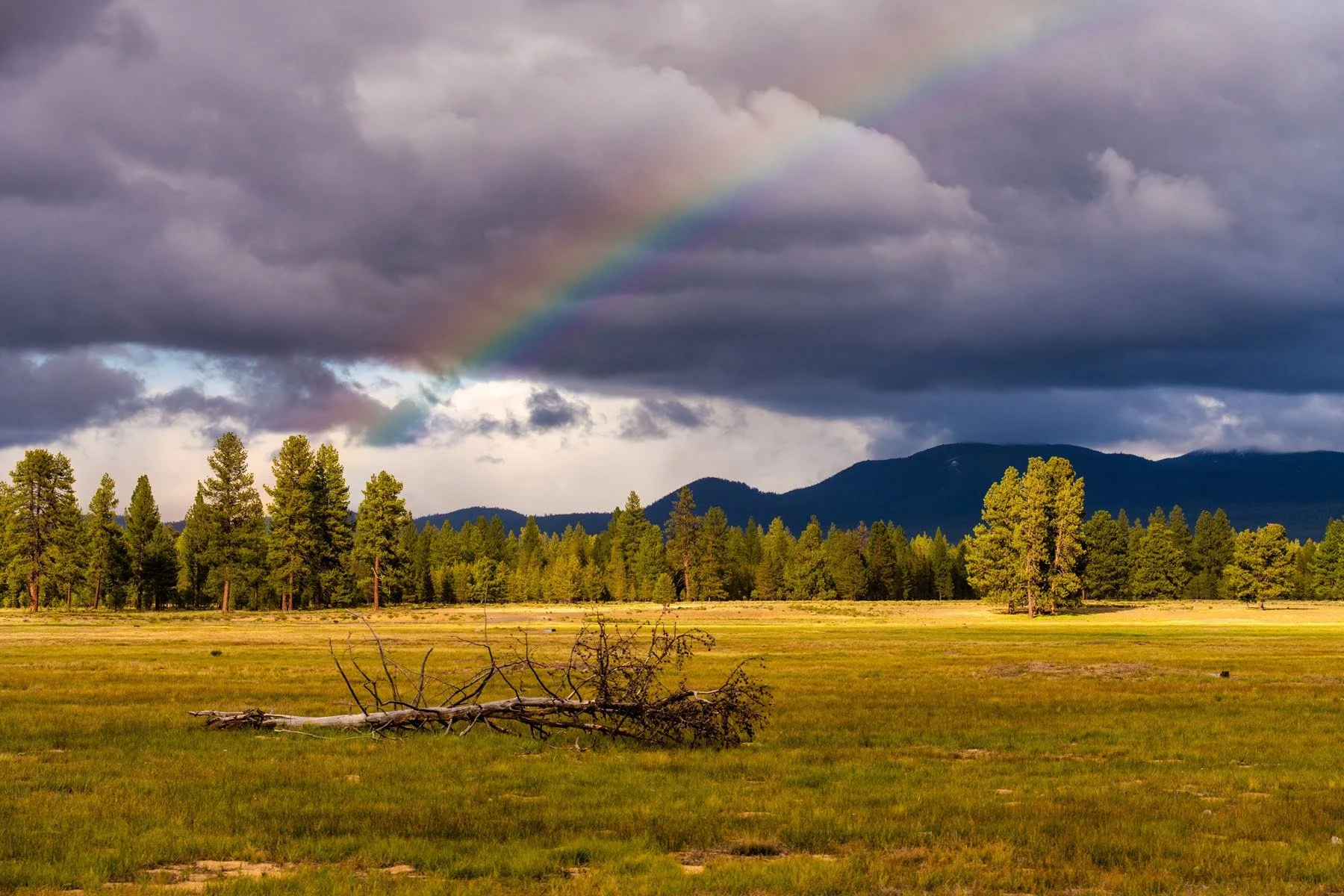 110_Spring 2025_Deschutes Land Trust_Paulina Creek Preserve_Photography by Wasim Muklashy_4200px-hires.jpg