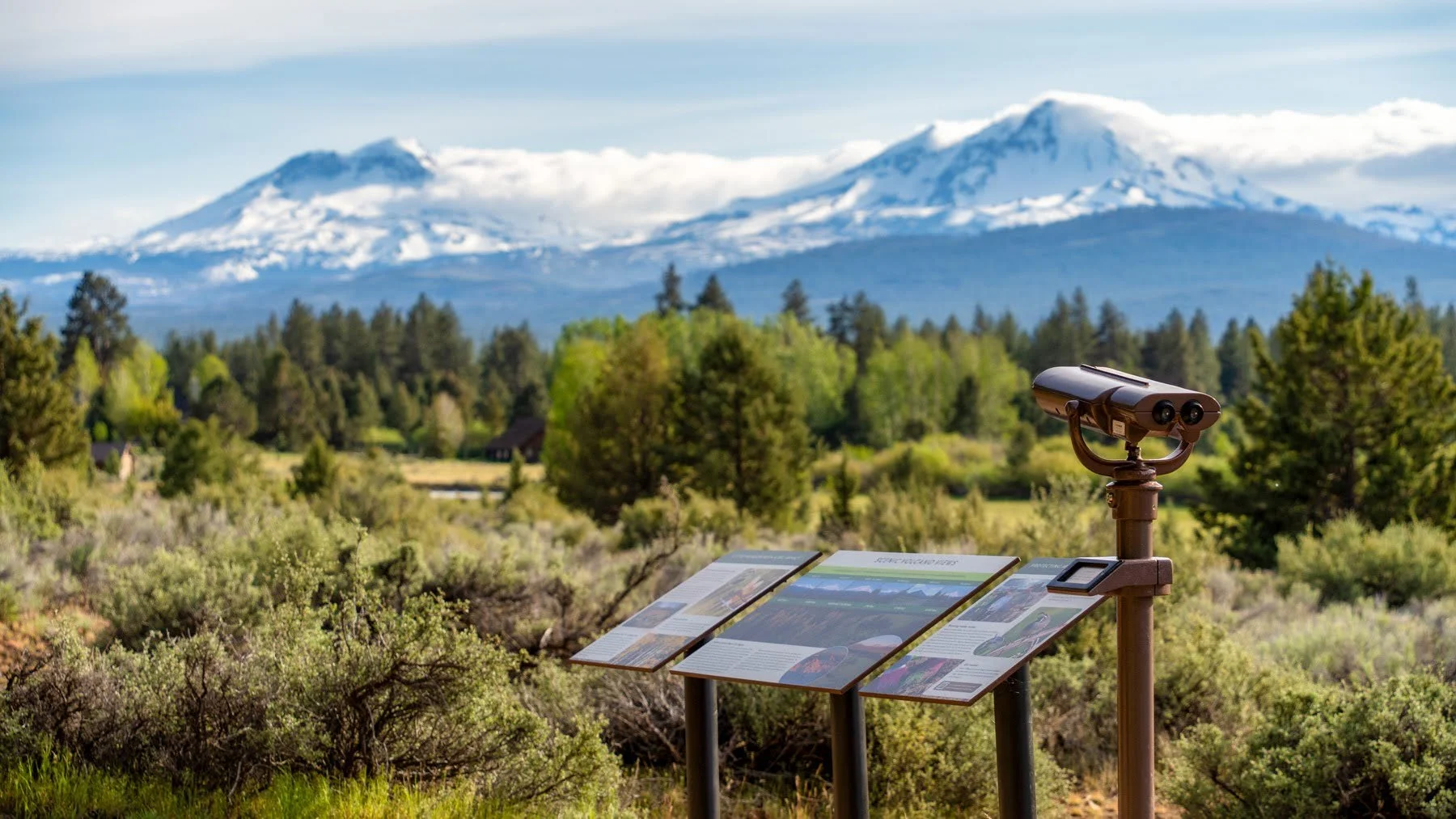 113_Spring 2025_Deschutes Land Trust_Indian Ford Meadow Preserve_Photography by Wasim Muklashy_4200px-hires.jpg
