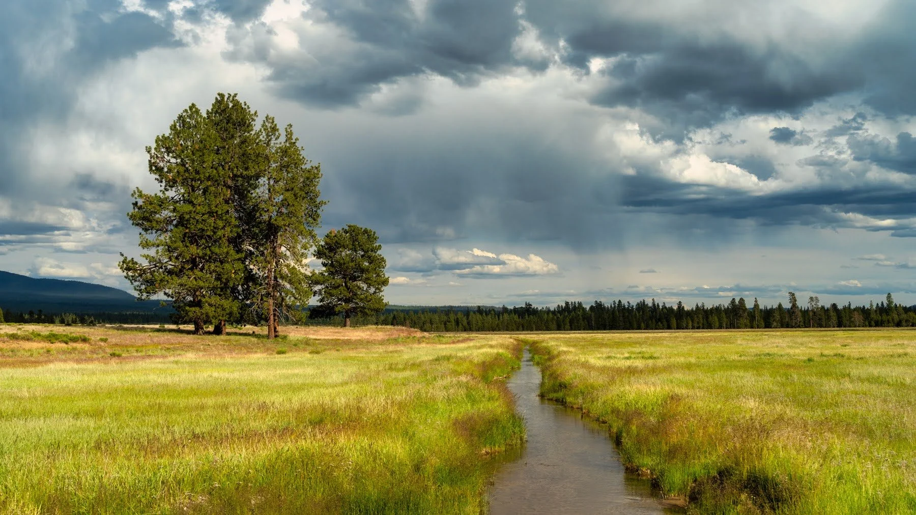 127_Spring 2023_Paulina Creek Preserve_Deschutes Land Trust_Sisters Oregon_Photography by Wasim Muklashy_1800px-webres.jpg
