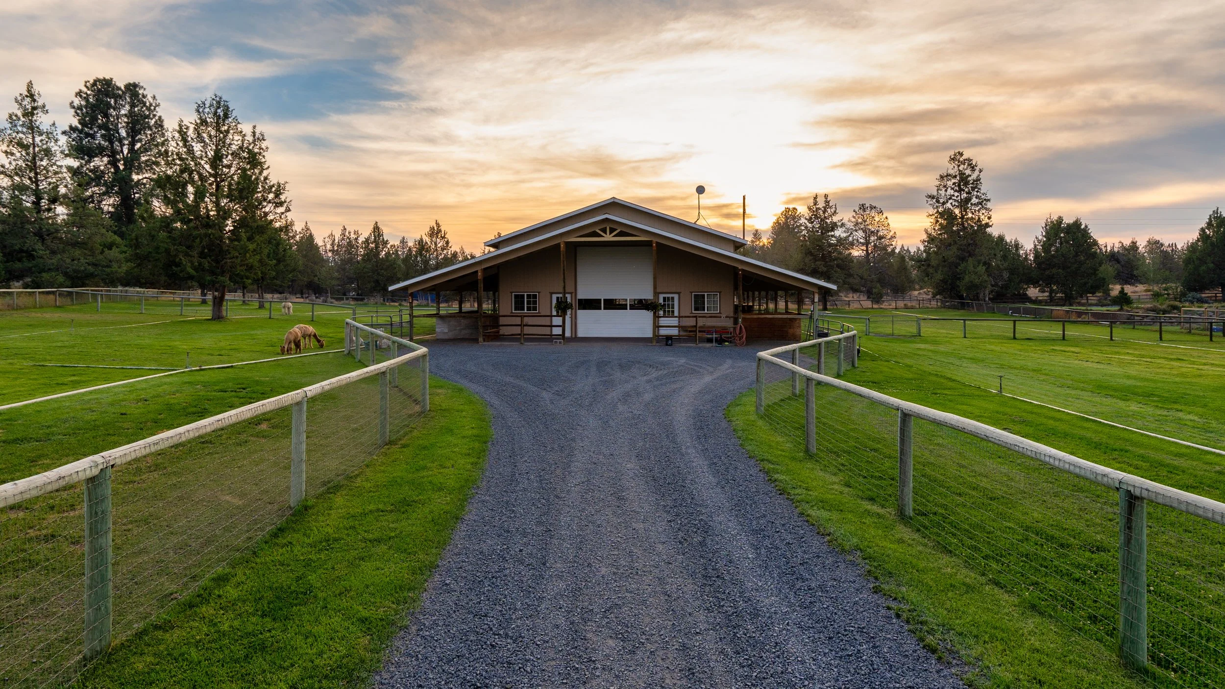 Wasim Muklashy Photography_Tumalo Bend Oregon_Barns and Alpaca_101.jpg
