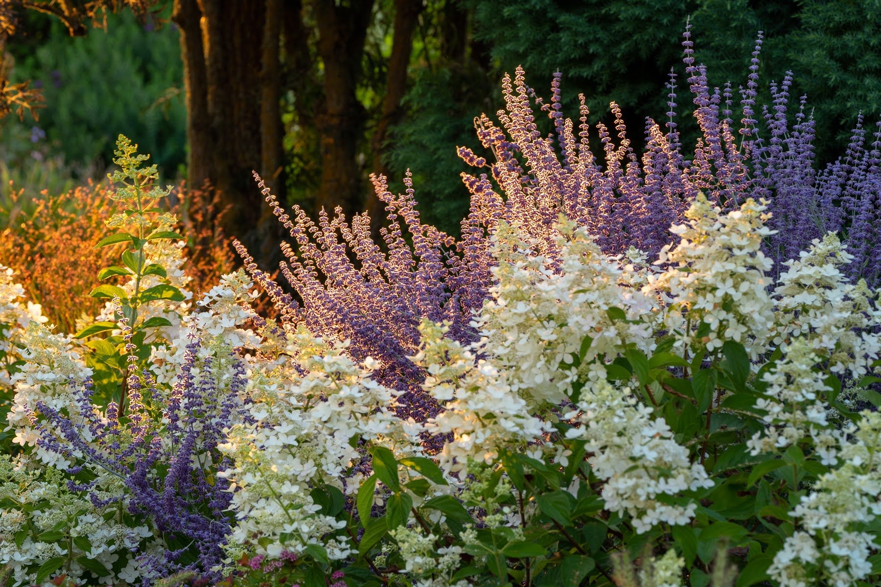 024_Oakwood Gardens_Summer 2021_Photography by Wasim Muklashy_1800px.jpg
