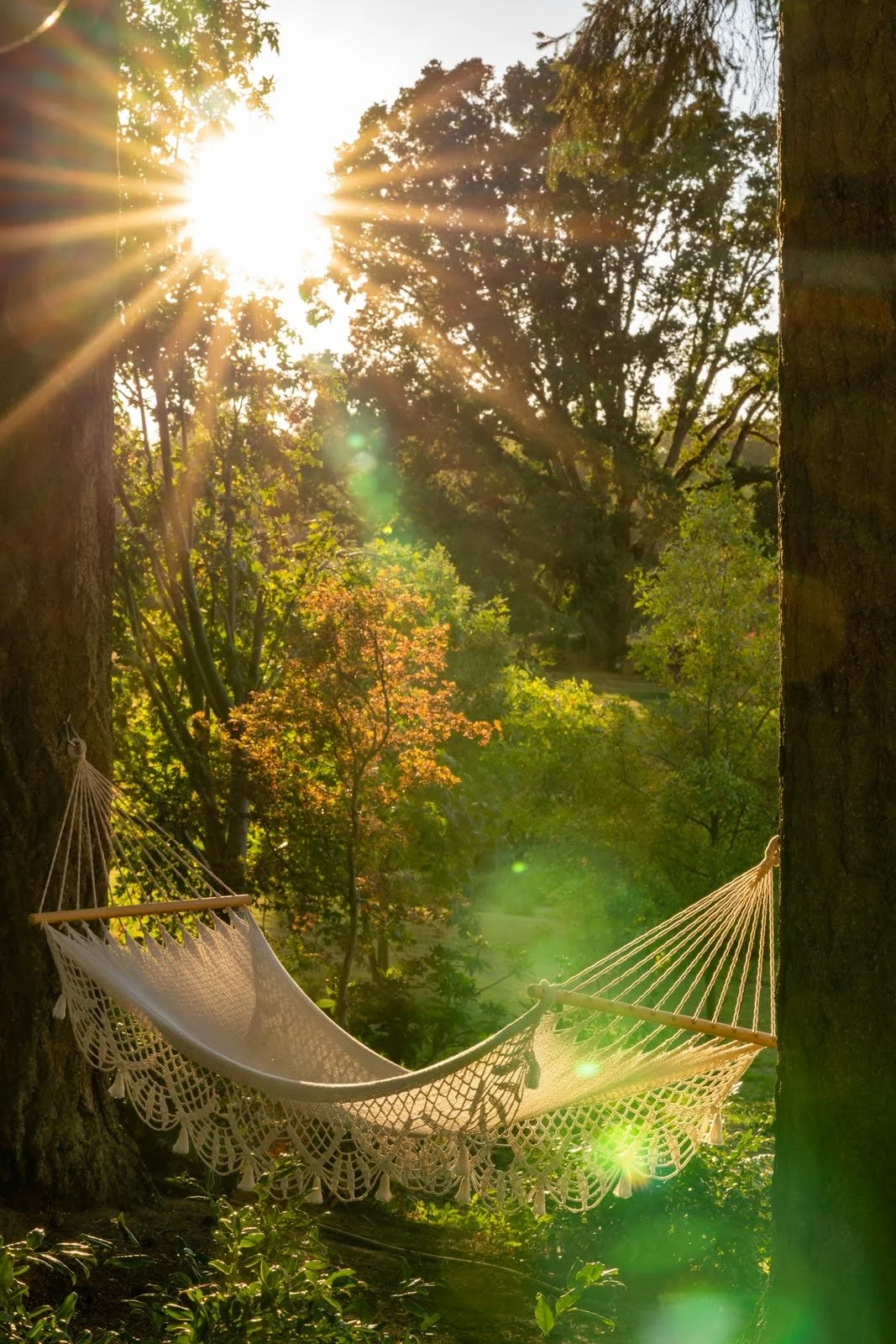 006_Oakwood Gardens_Summer Garden_Photography by Wasim Muklashy_.jpg