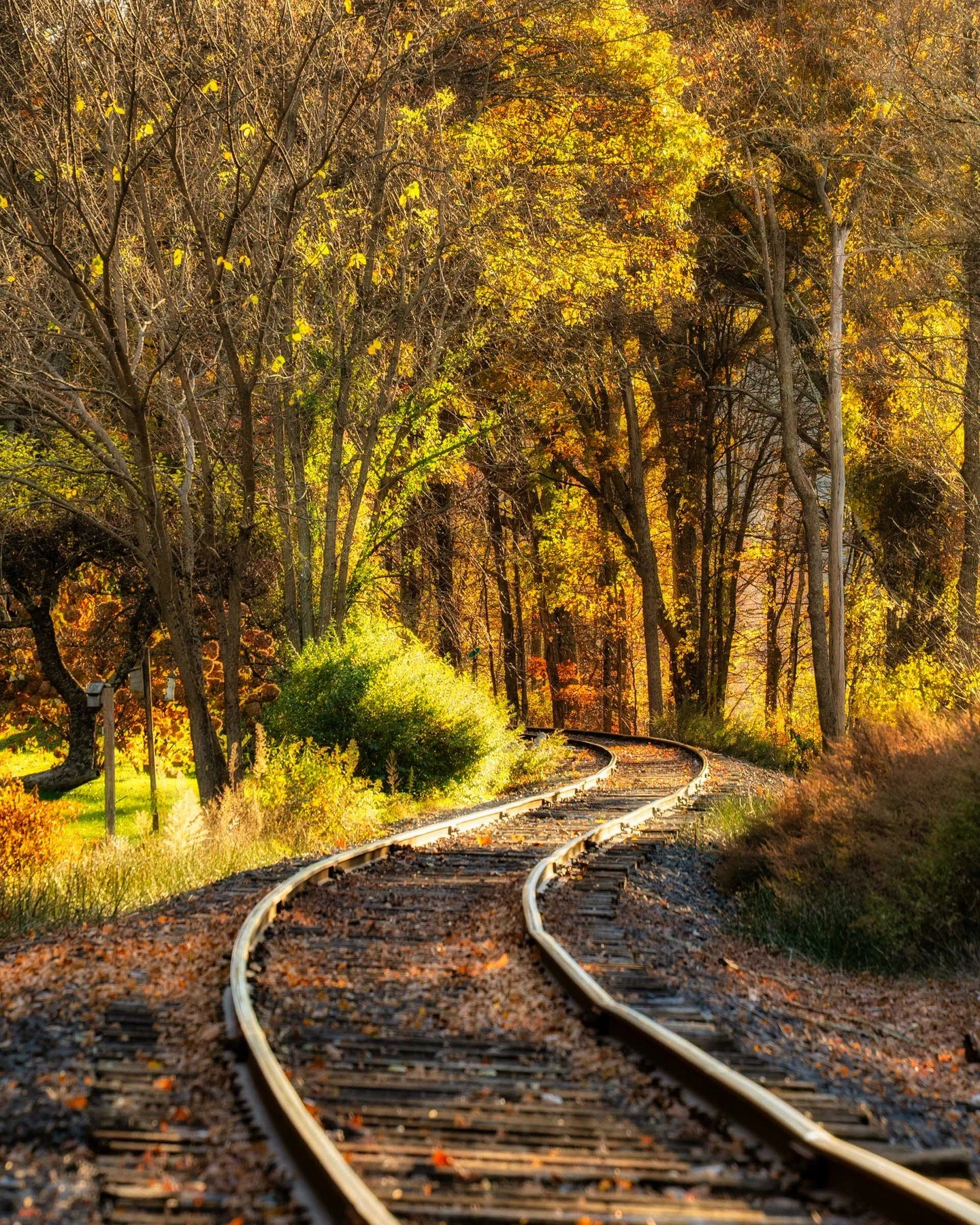 quite the ride...
-
a #newengland #zen moment byWasim.com
-
and if you want more neato nature stuffs, find me on Bluesky, been spending a LOT more time posting photos there. no ads no zuckfuckery and superior control over what and who does (and doesn