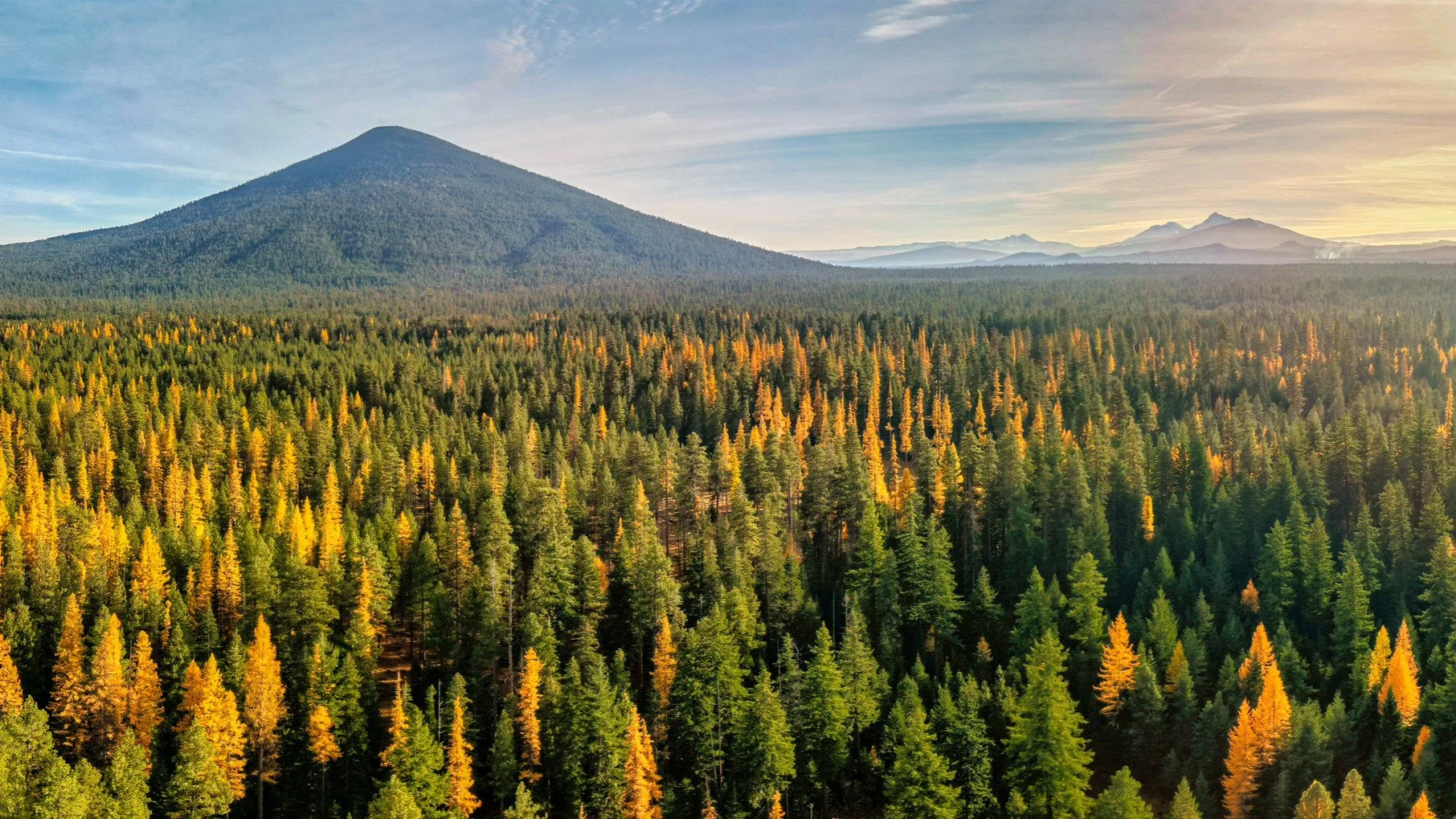 still not easy.
-
a #pnw #zen moment byWasim.com
-
and if you want more neato nature stuffs, find me on Bluesky, been spending a LOT more time posting photos there. no ads no zuckfuckery and superior control over what and who does (and doesn't) show 