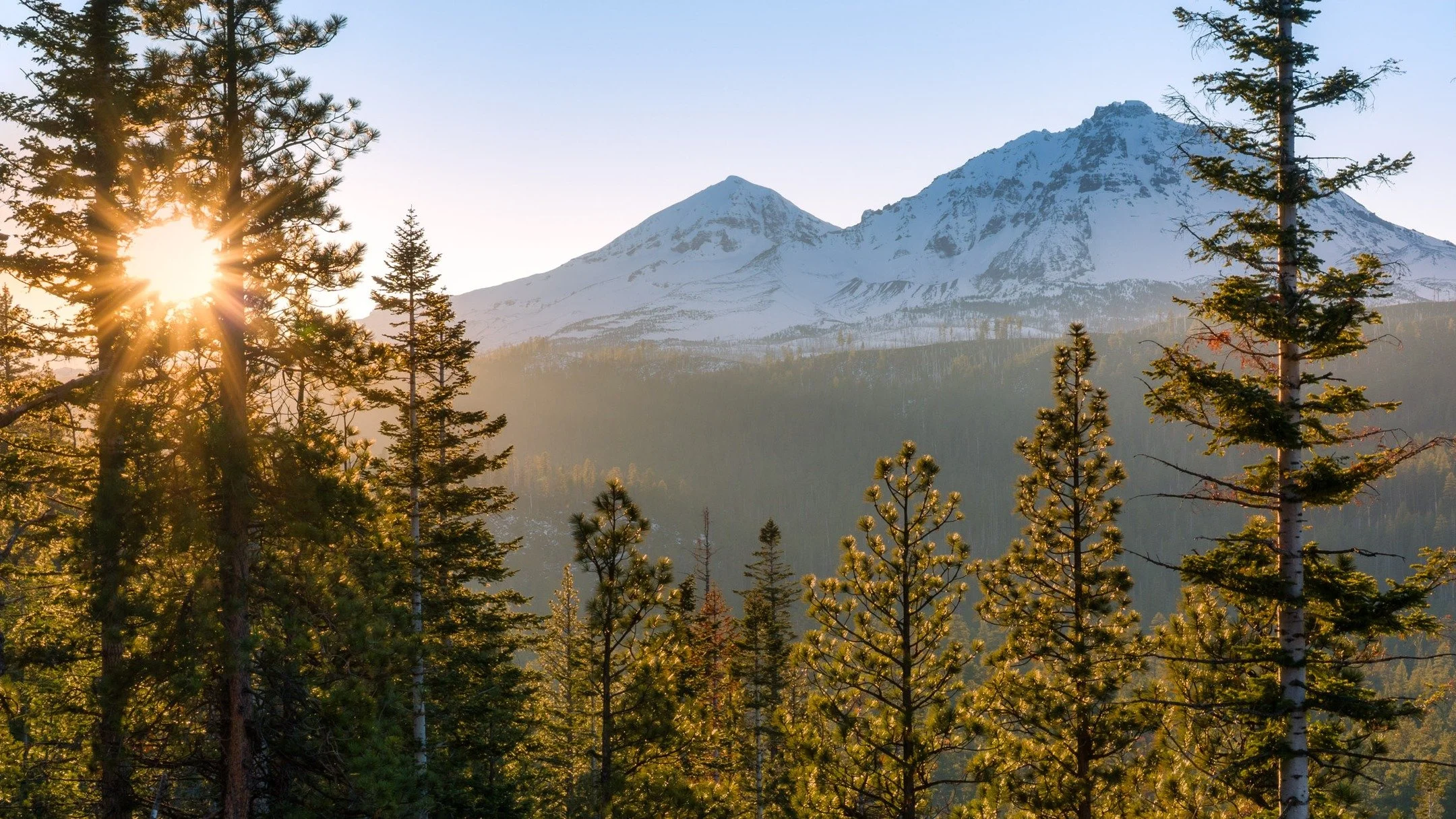 things happen here.
-
a #pnw zen moment byWasim.com
-
and if you want more neato nature stuffs, find me on Bluesky, been spending a LOT more time posting photos there. no ads no zuckfuckery and superior control over what and who does (and doesn't) sh