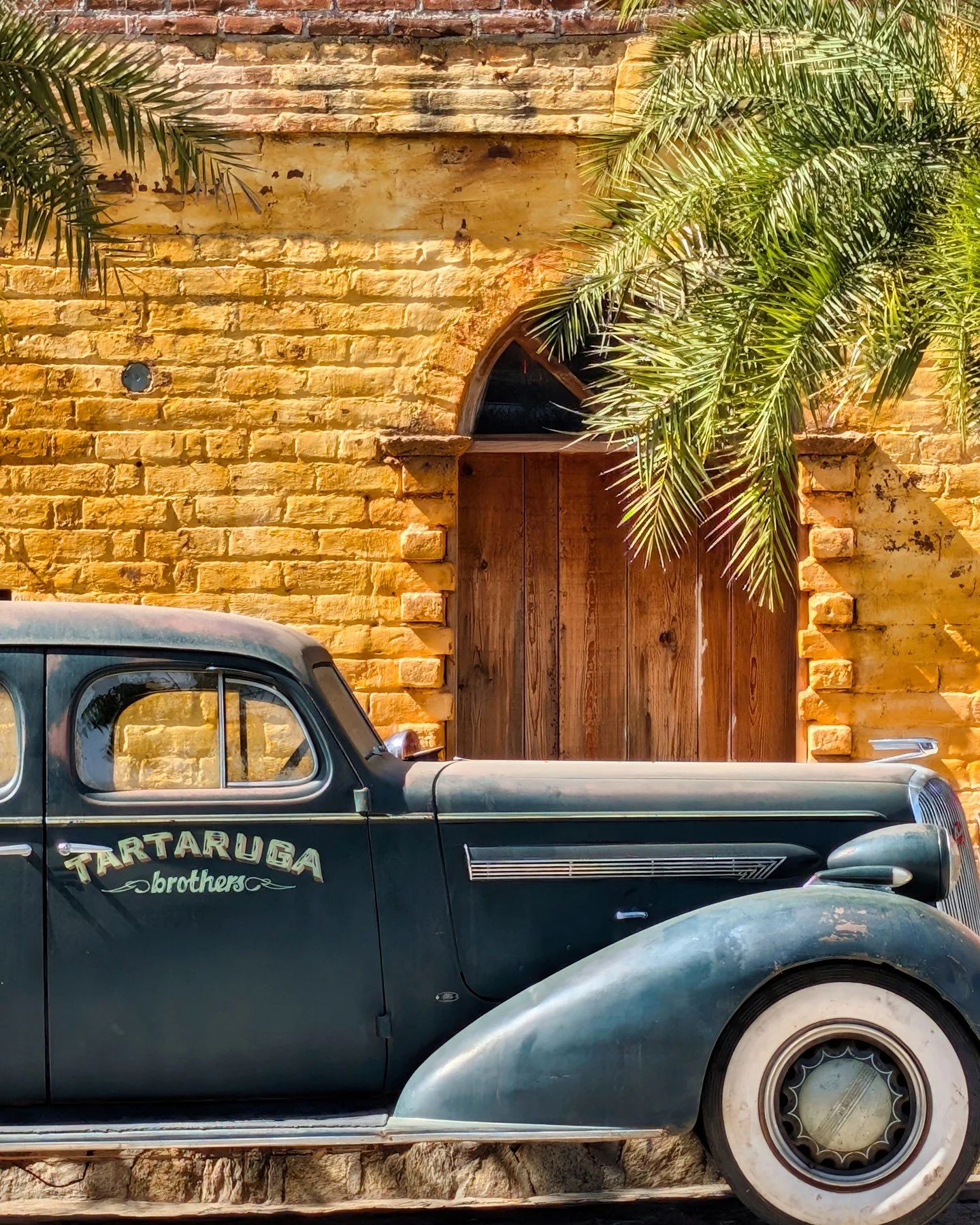 gold mine.
-
an el triunfo mexico zen moment byWasim.com
-
and if you want more neato nature stuffs, find me on Bluesky, been spending a LOT more time posting photos there. no ads no zuckfuckery and superior control over what and who does (and doesn'