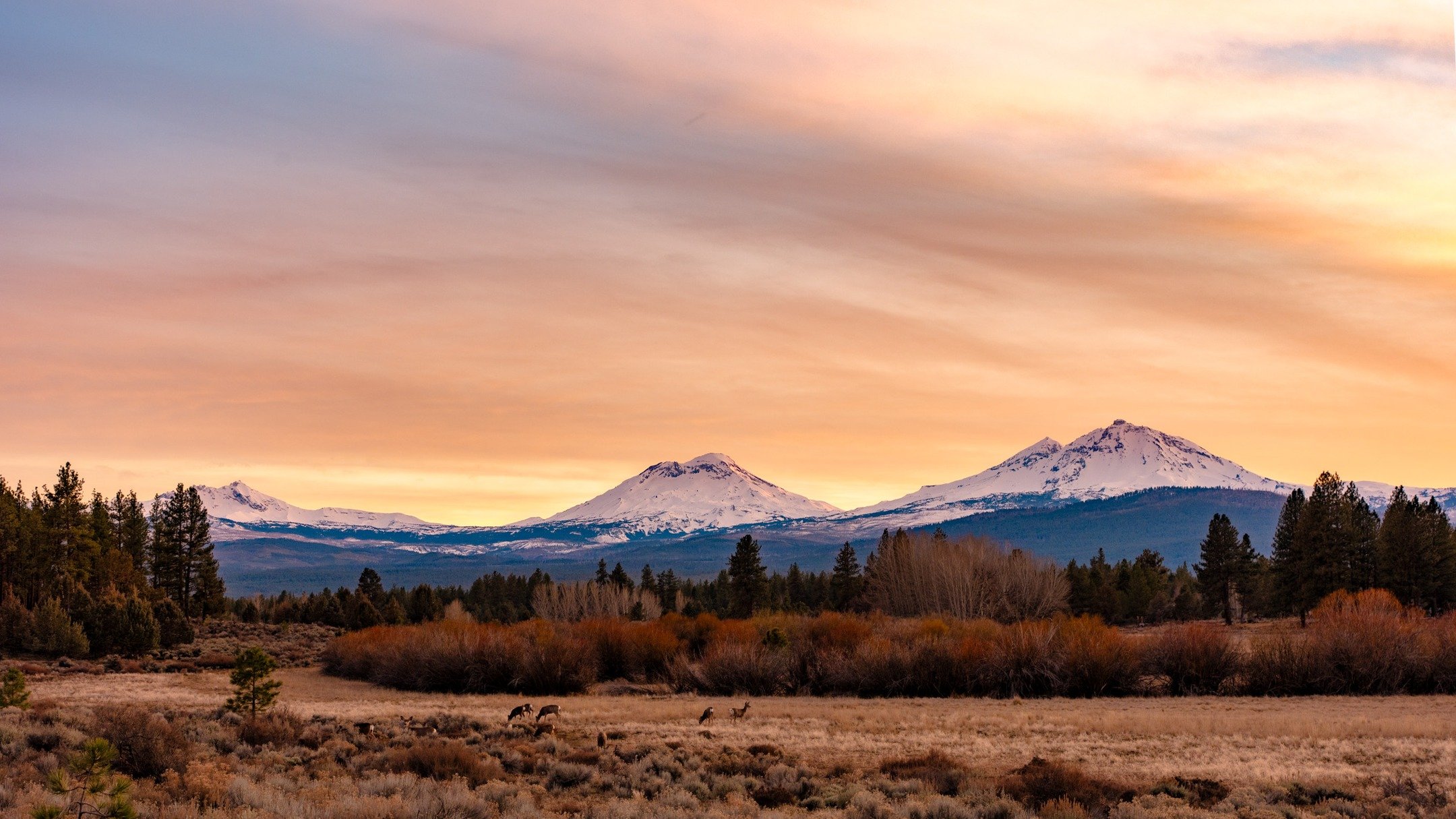 oh deer...
-
a #pnw zen moment byWasim.com
-
and if you want more neato nature stuffs, find me on Bluesky, been spending a LOT more time posting photos there. no ads no zuckfuckery and superior control over what and who does (and doesn't) show up in 