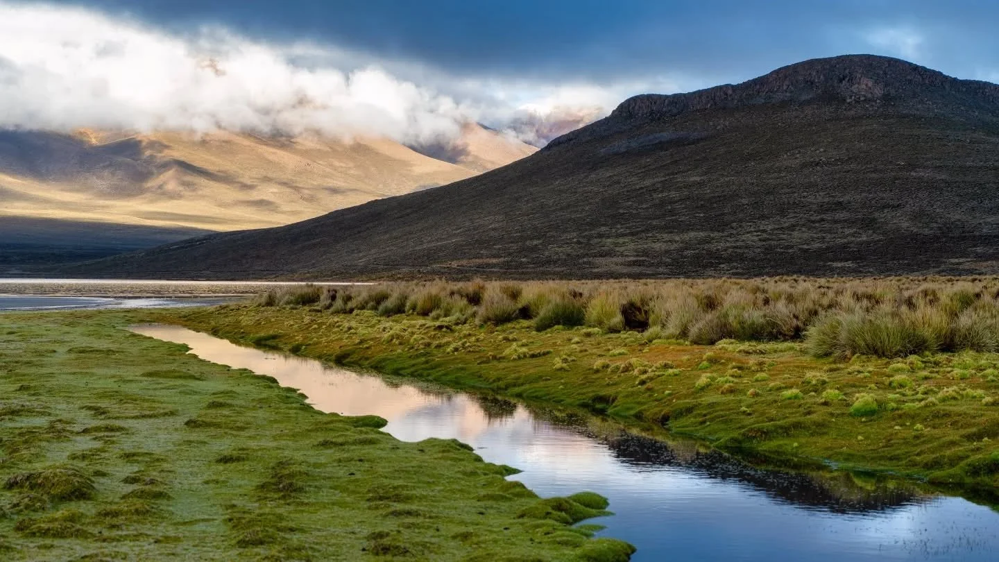 one way...or another...
-
a peru zen moment byWasim.com
-
if you want more neato nature stuffs, find me on Bluesky, been spending a LOT more time posting photos there. no ads no zuckfuckery and superior control over what and who does (and doesn't) sh
