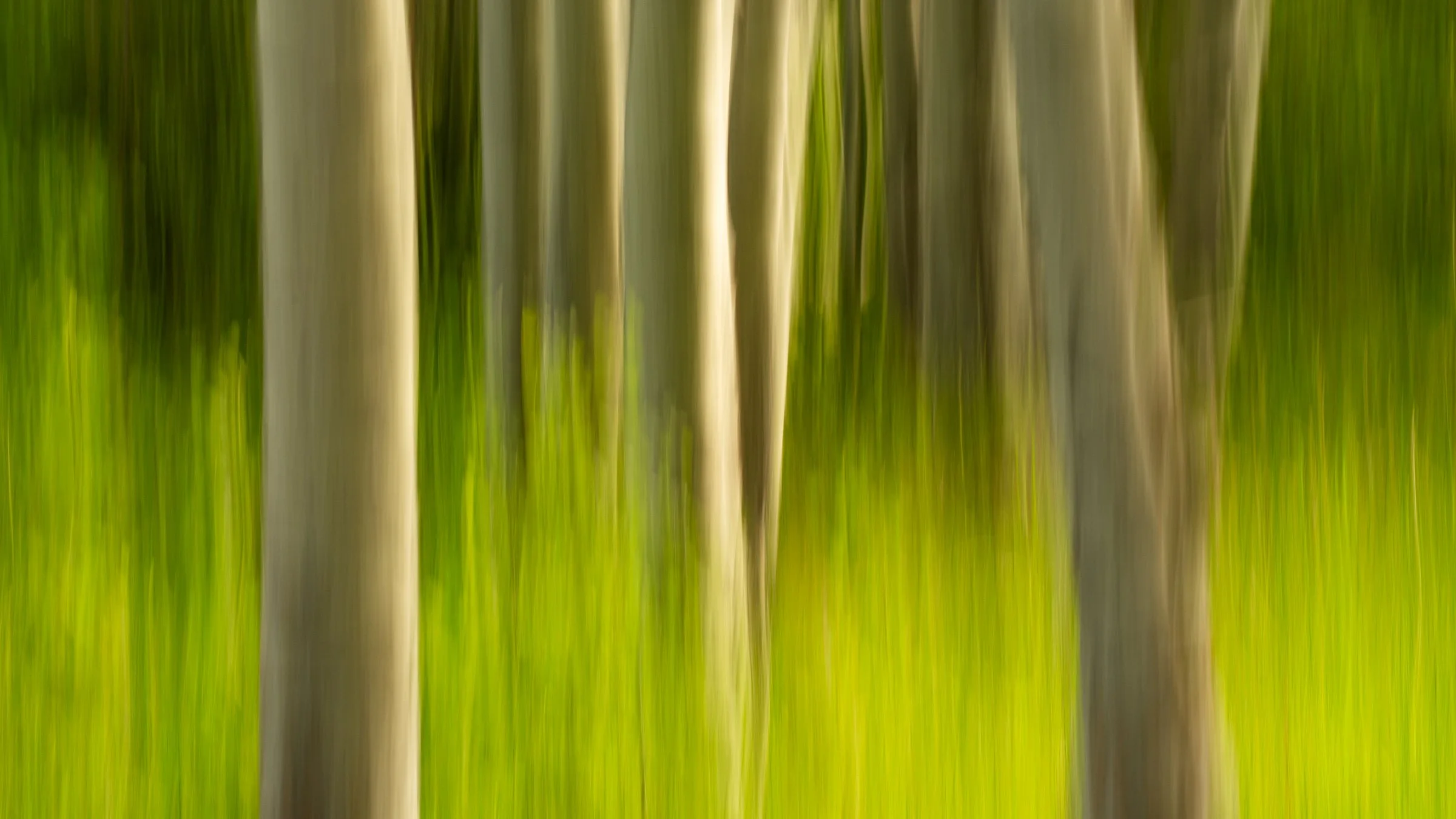 forwared momentum or just momentum?
-
a central oregon zen moment byWasim.com
-
and if you want more neato nature stuffs, find me on Bluesky, been spending a LOT more time posting photos there. no ads no zuckfuckery and superior control over what and