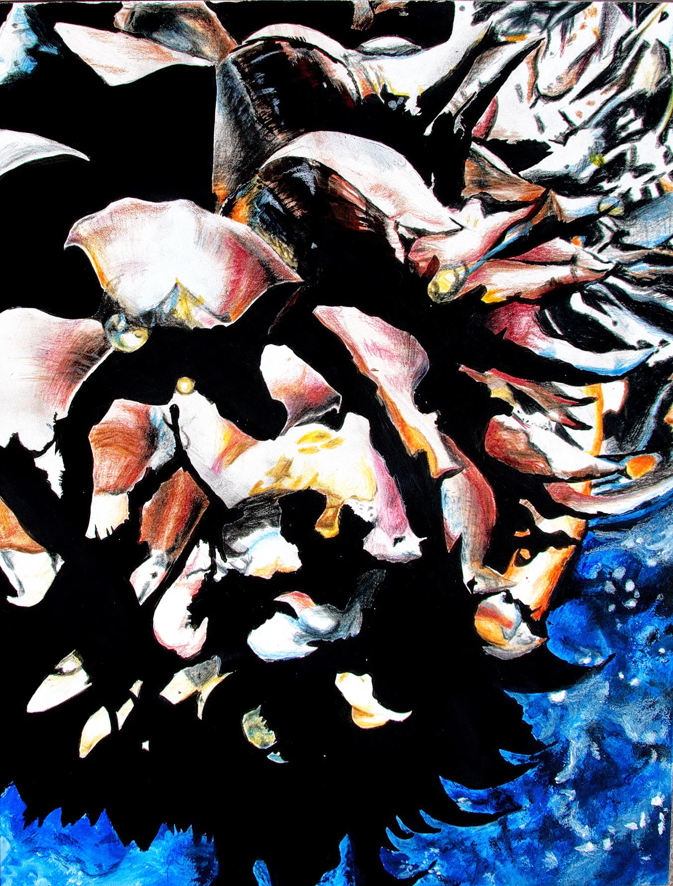 Pincone - 2' X 1' - Colored Pencil and Acrylic on Canvas - SOLD