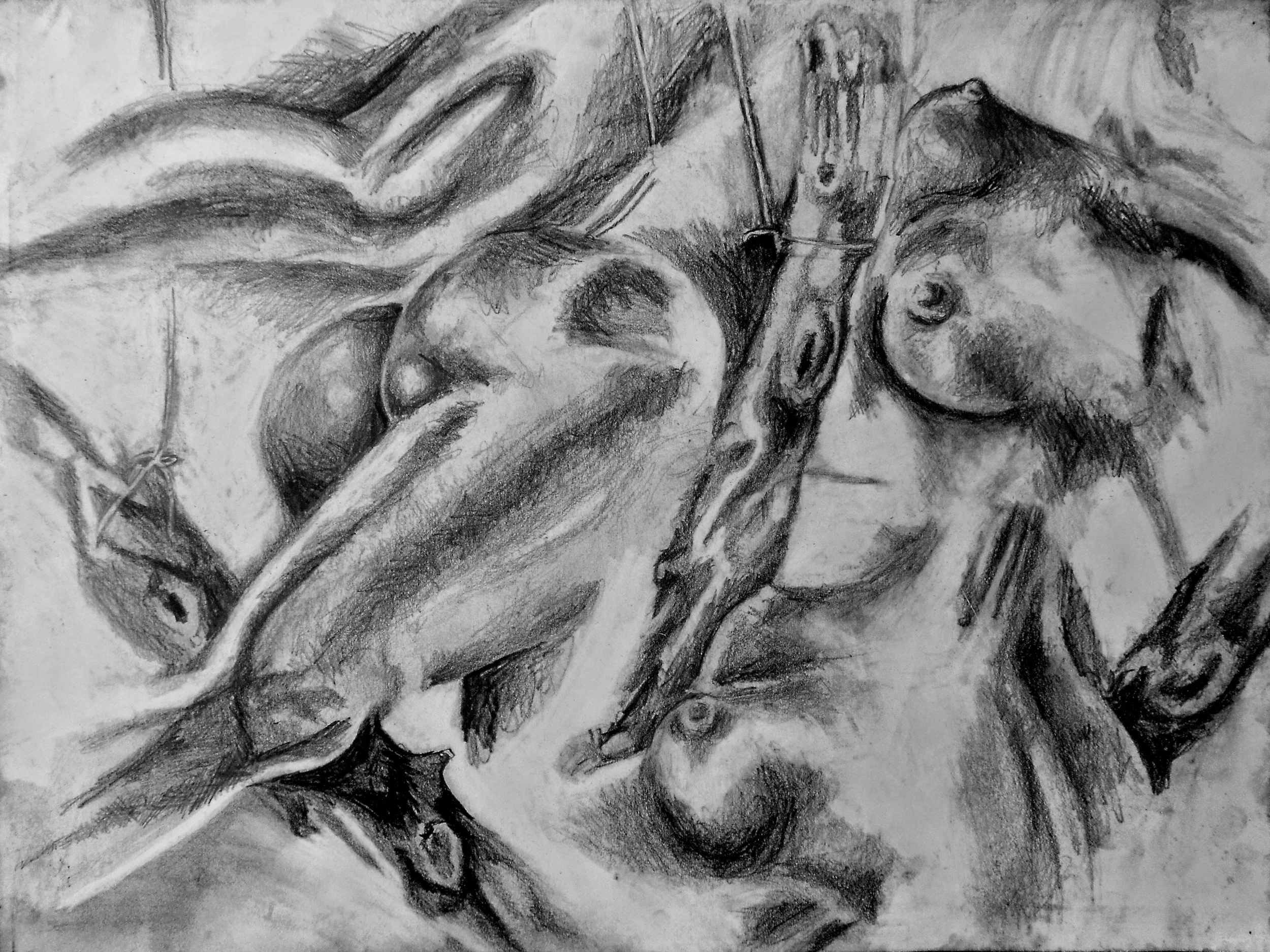 What it initially looked like before - A charcoal sketch of inanimate objects visually arranged by my imagination