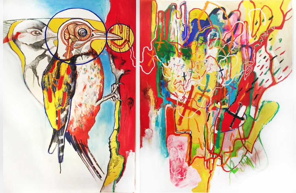 "The Anatomy of Self Infliction" -- Examining the brilliant anatomy of the woodpecker in its ability to sustain concussions, while also serving as a metaphor for entering into the unknown without self doubt. 