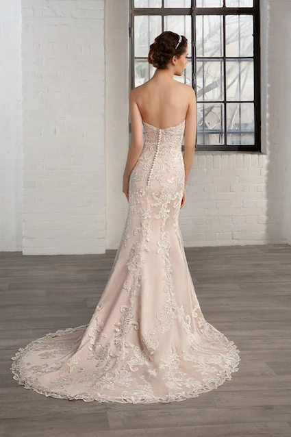 cosmobella-7783-back.jpg