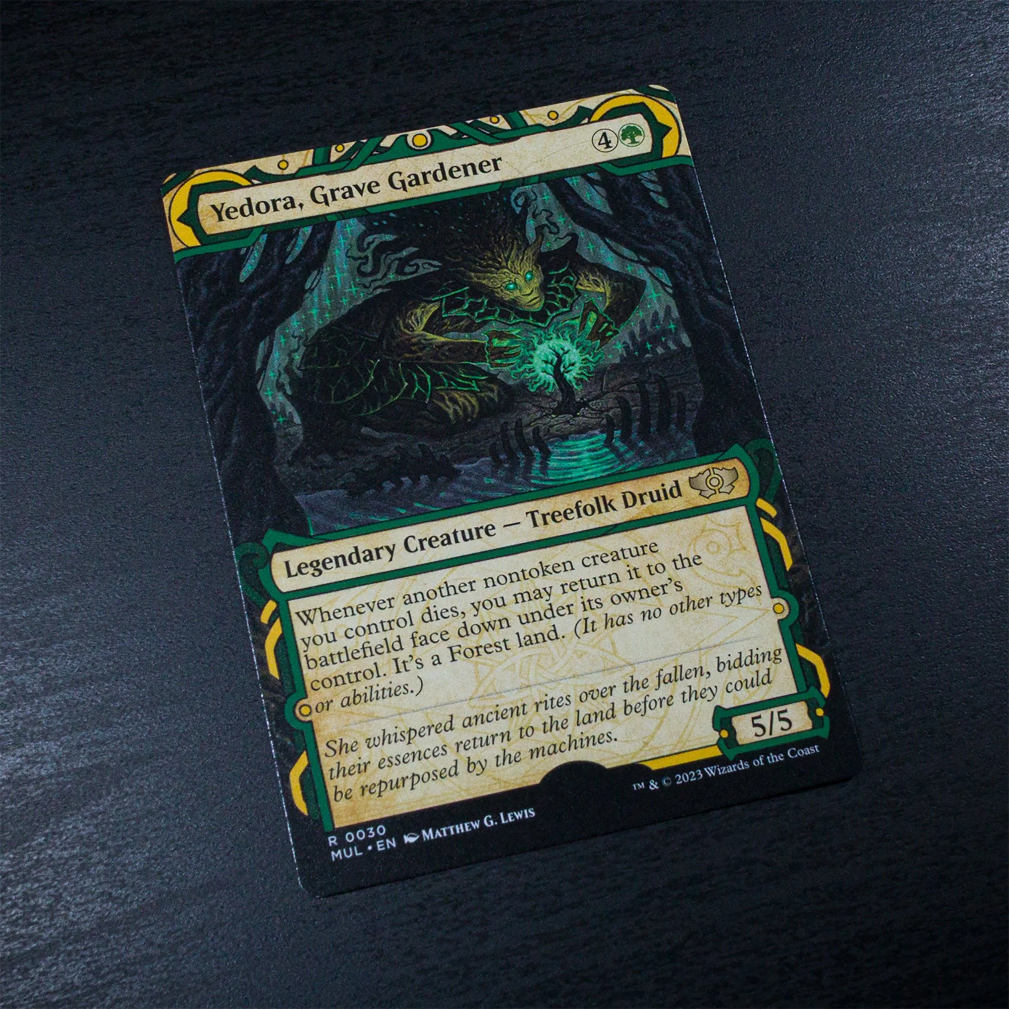 01_mtg_ap_reg_yedora.jpg
