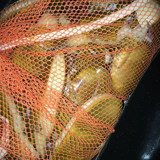 All the off-season training, preparation, blood, sweat, and tears for this moment. 2019/2020 WA razor clam #opener #dotheclam