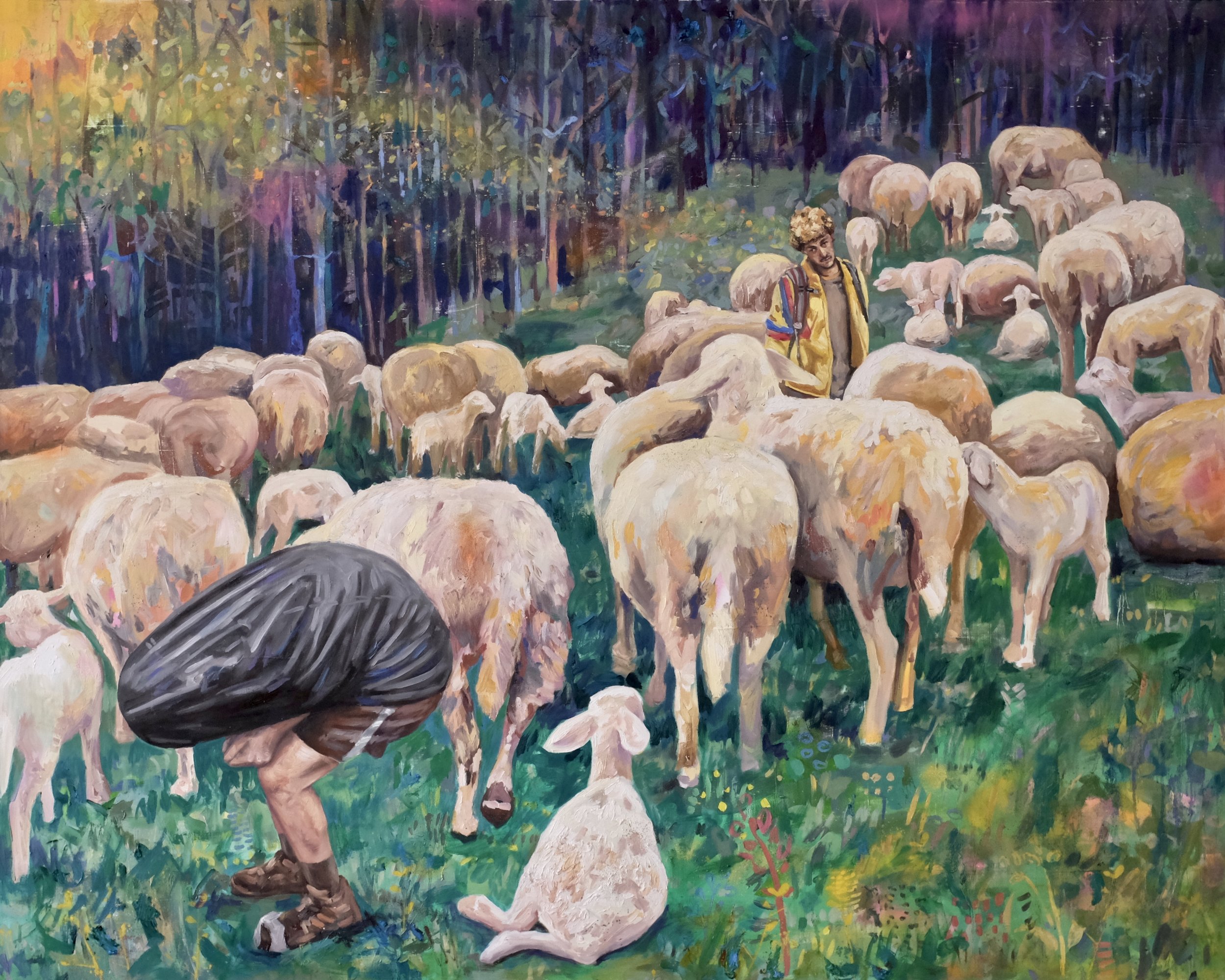 Black Sheep