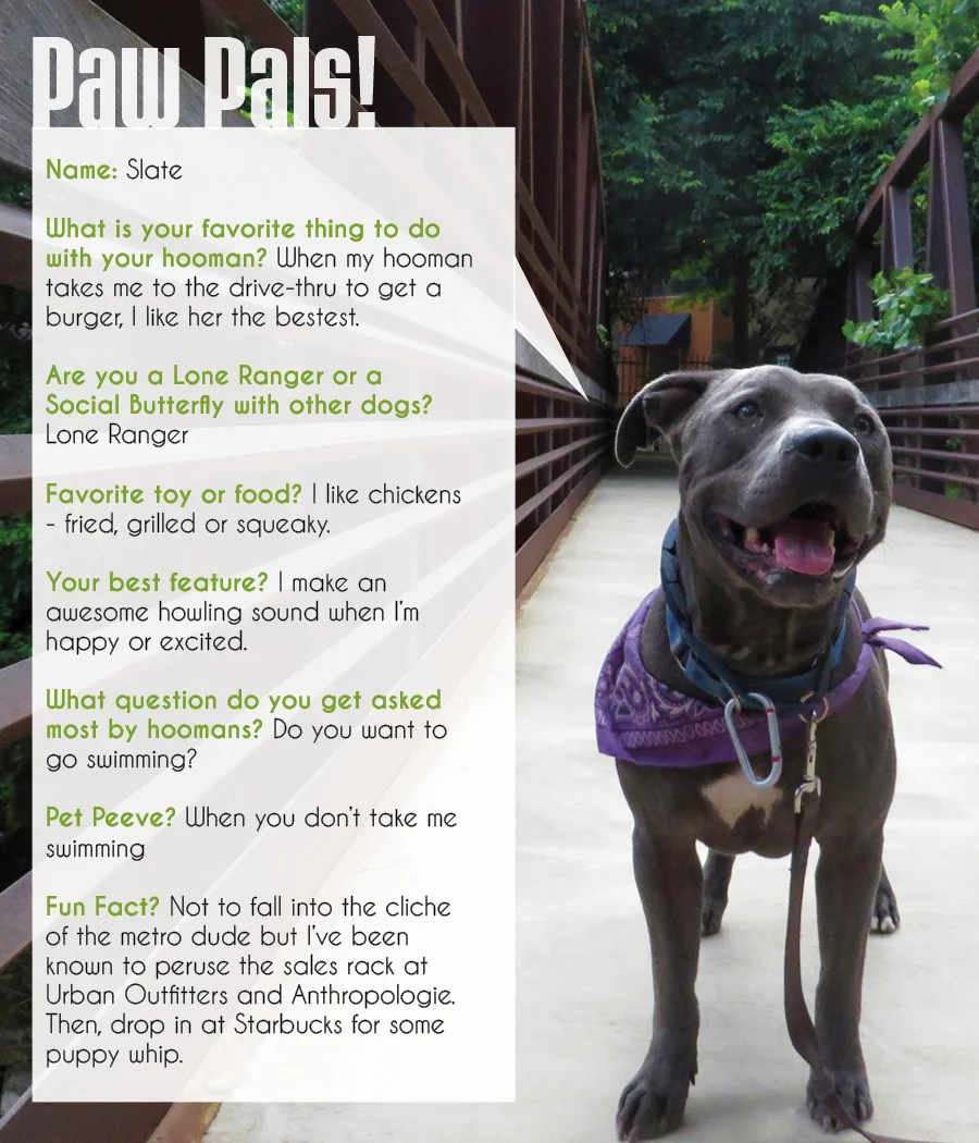 Slate_PawPals.jpg