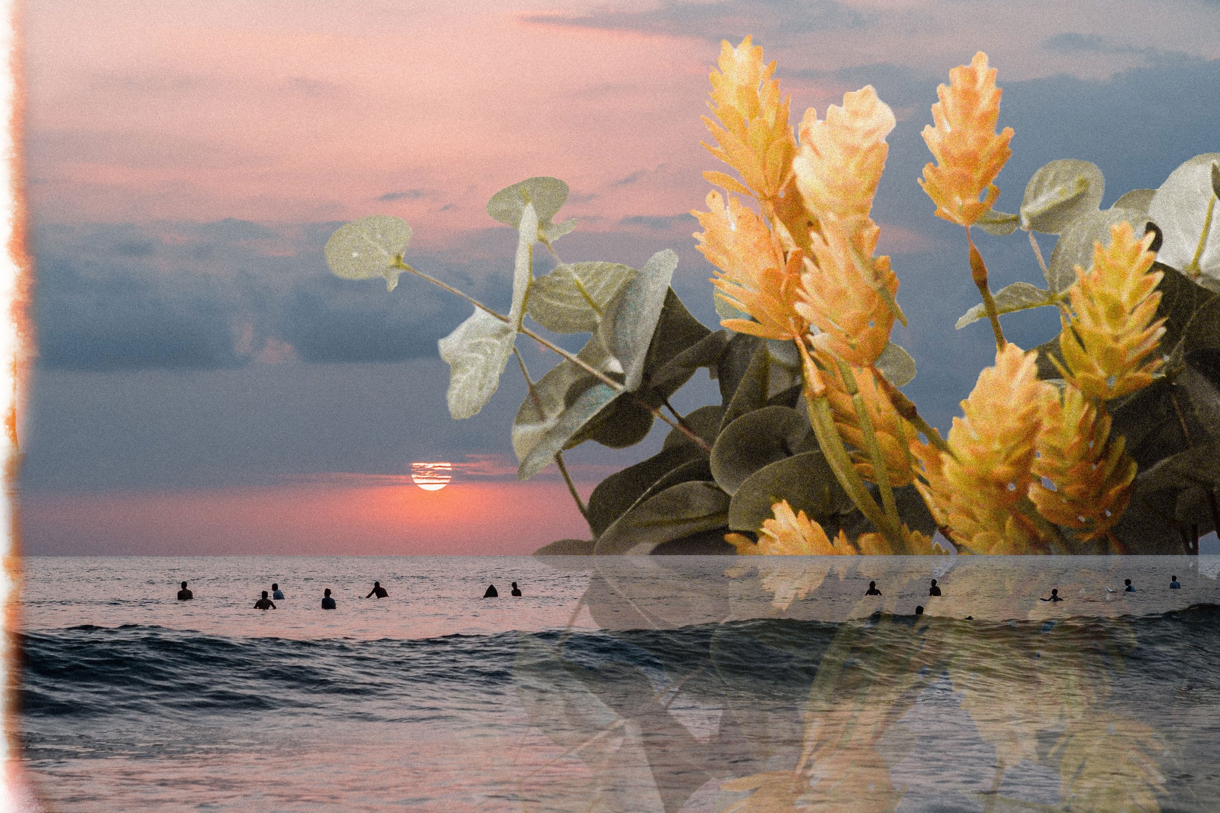 A Postcard Dream