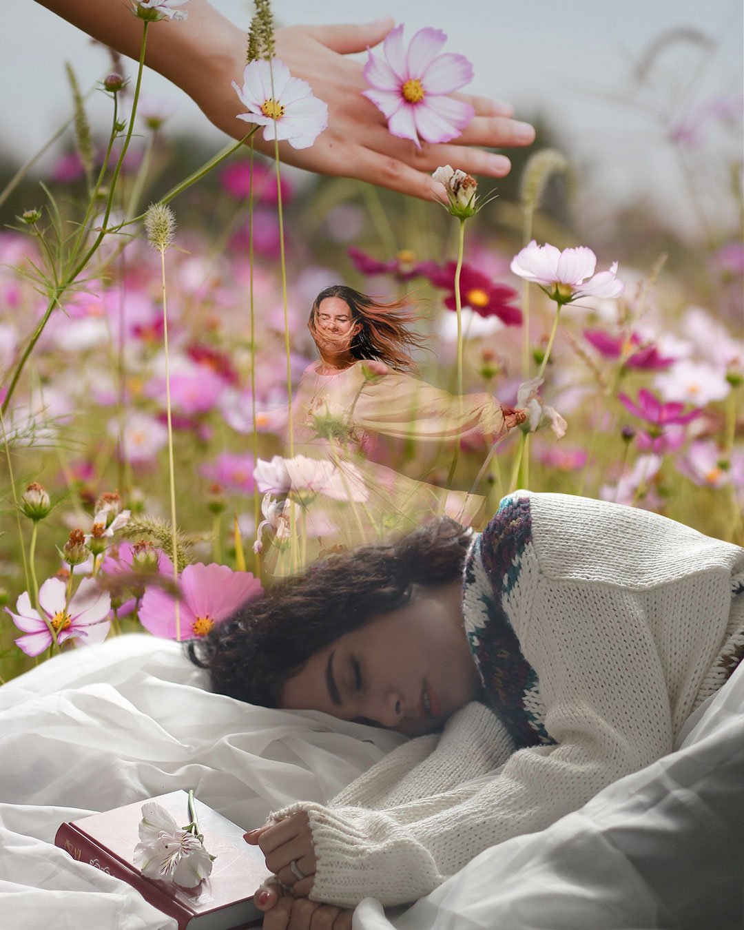 DreamofPeace.jpg