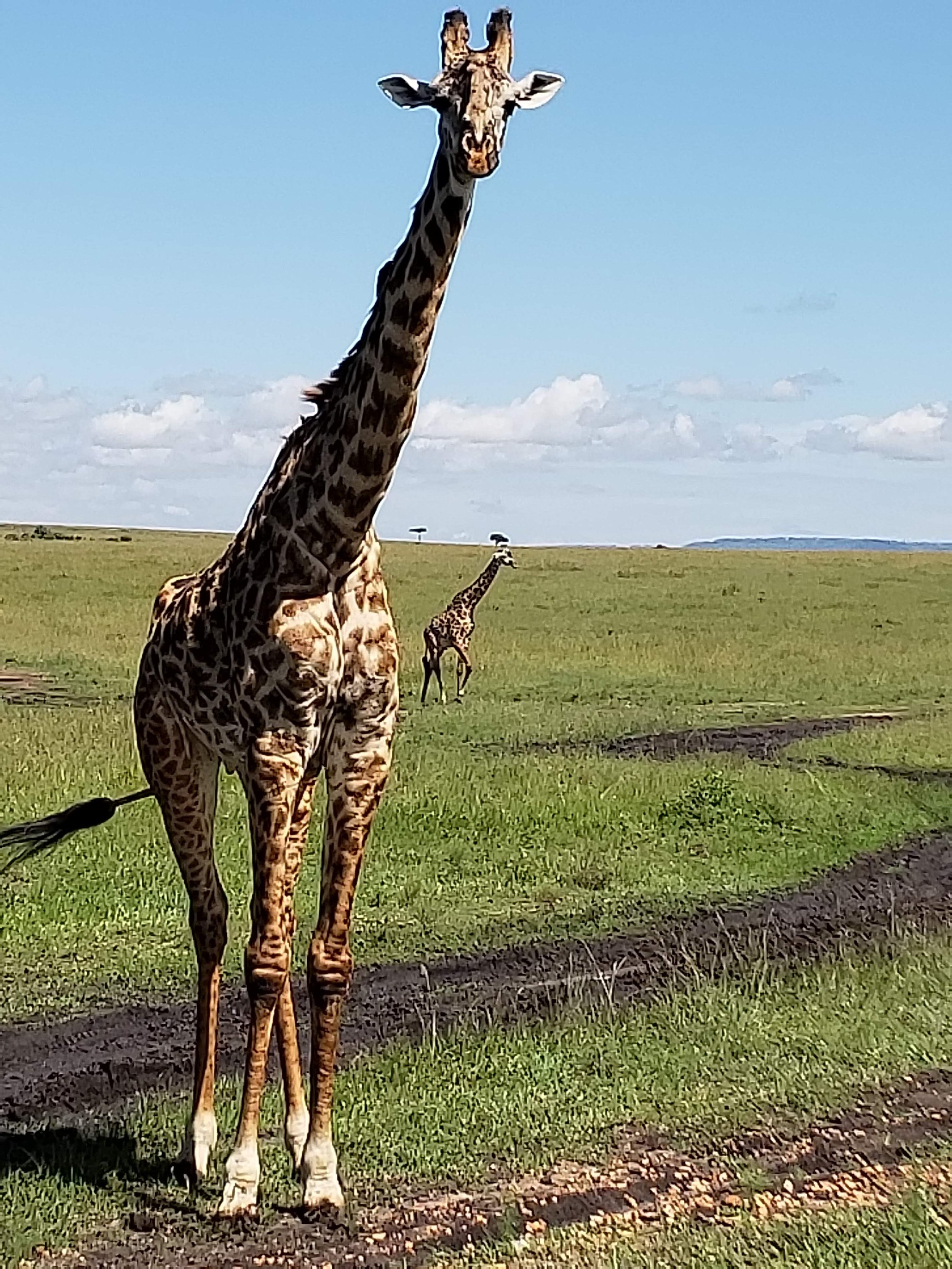 20180423_102629.jpg