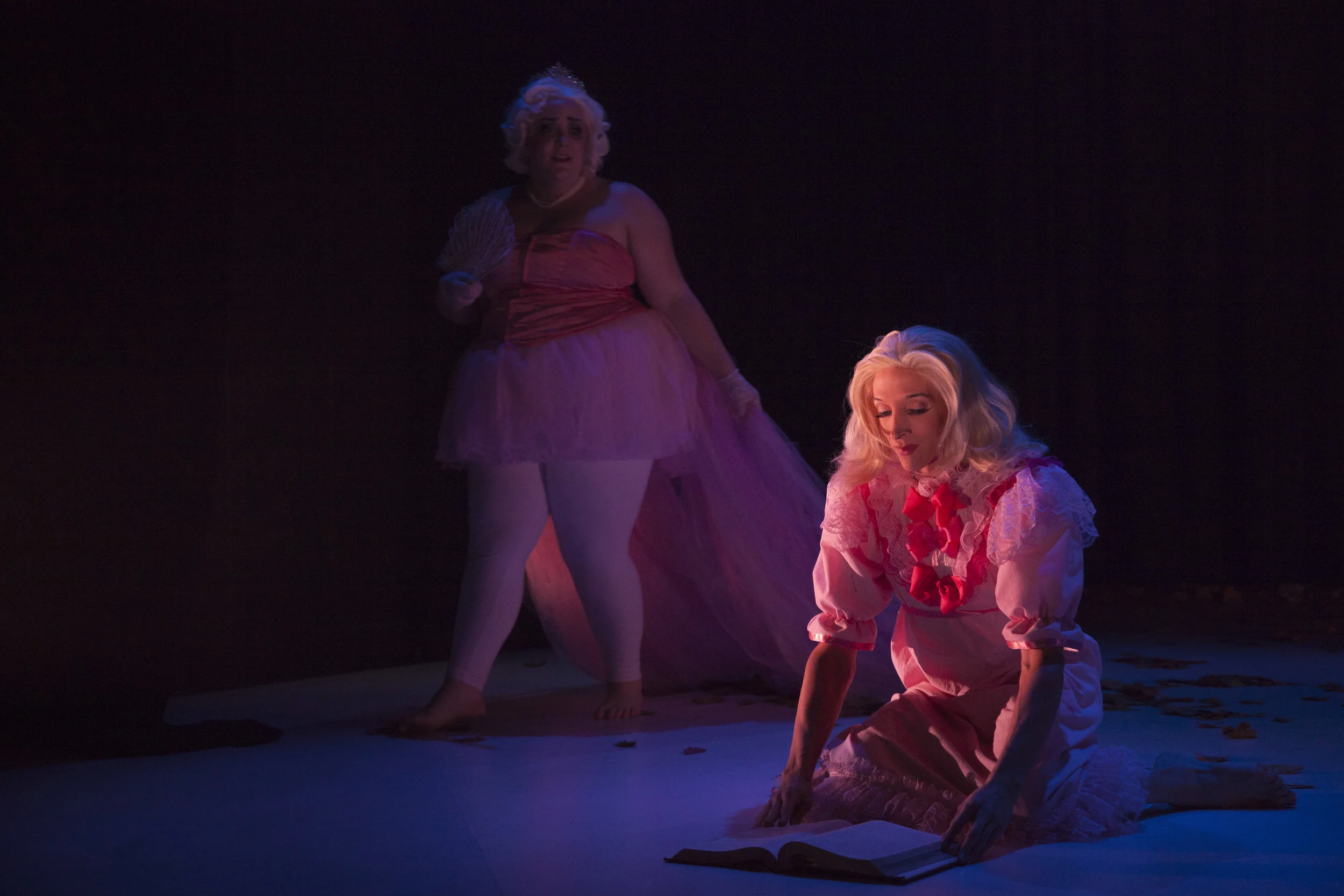 The Sleeping Beauty in the Wood (2016)