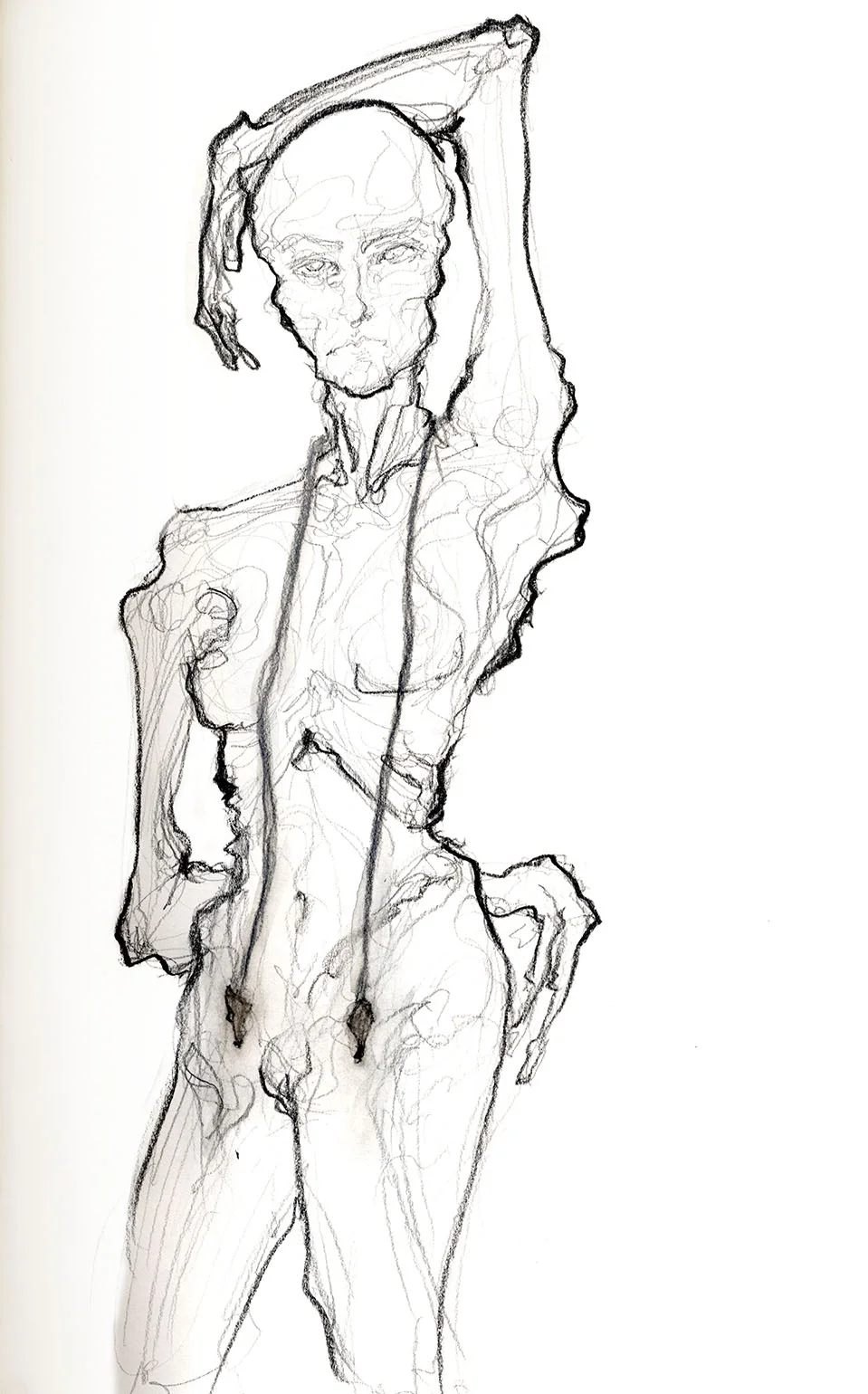 Drawings002.jpg