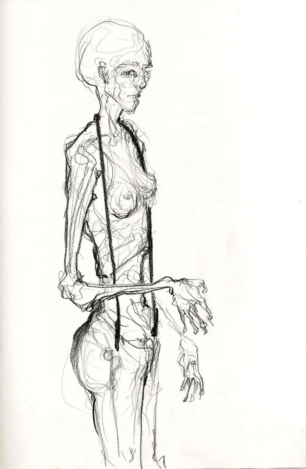 DrawingsMoledro.jpg