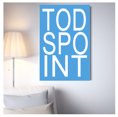 todspointposter.png