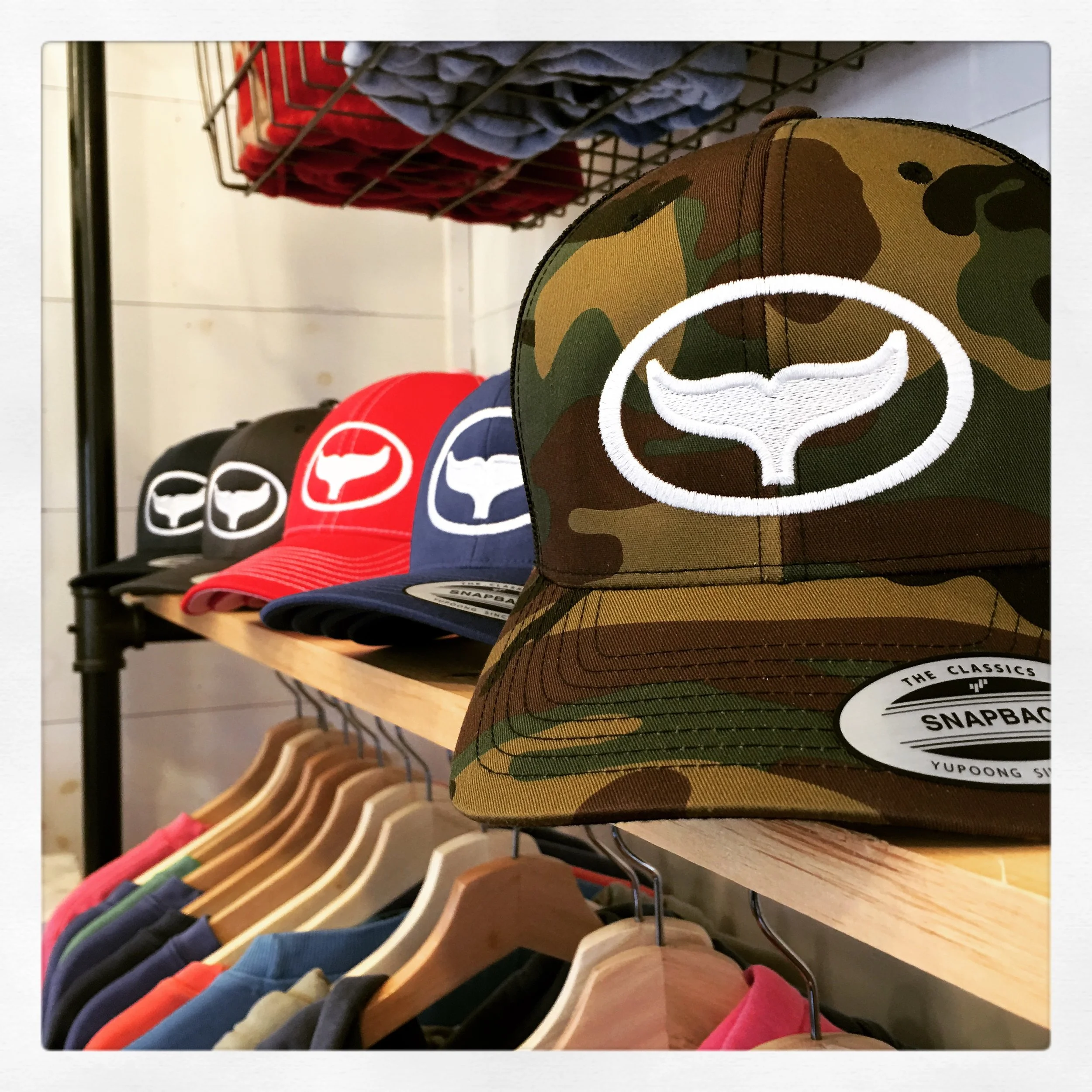 whale tail hat