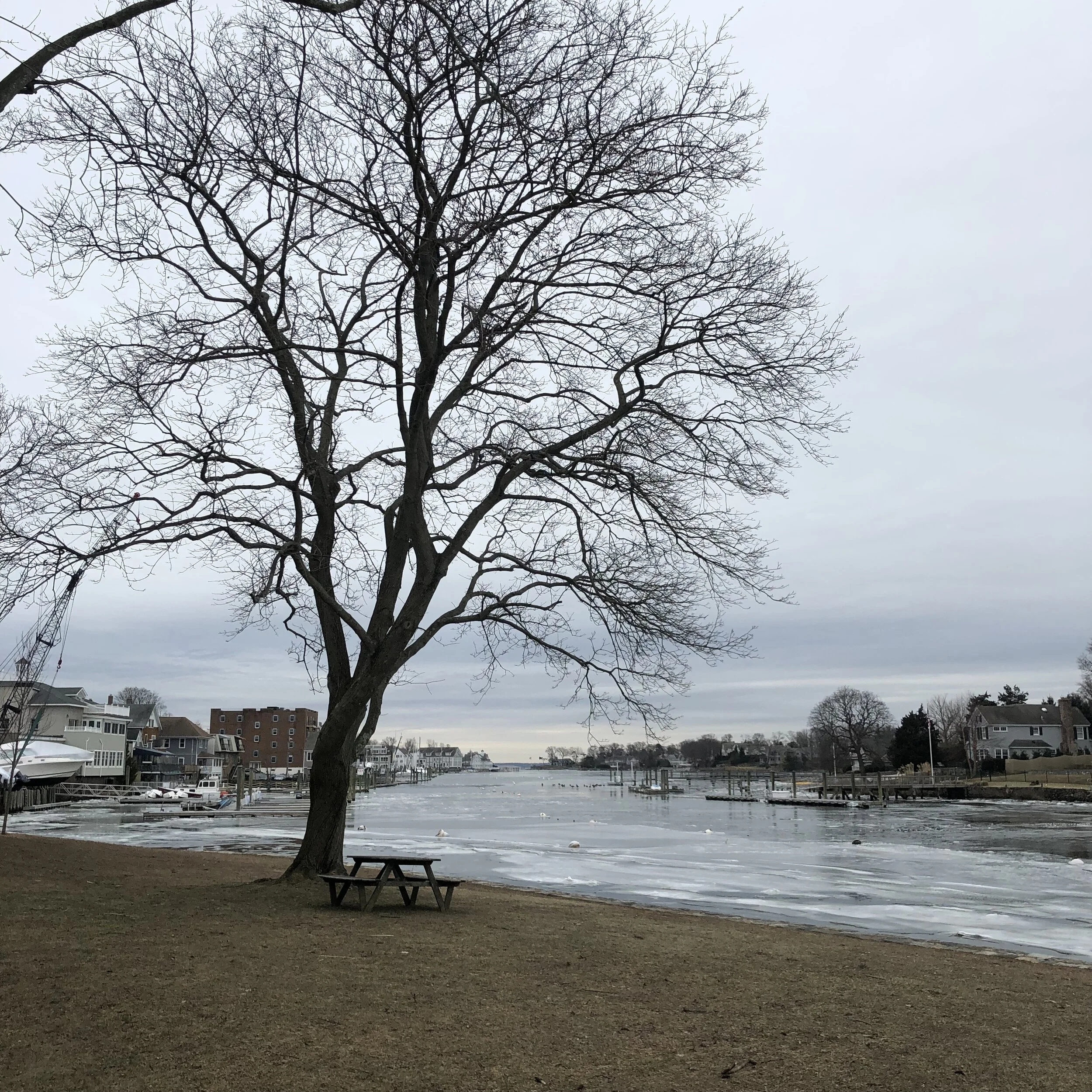 D409C5D4-C3A9-44B5-93B0-F542F0D7AC54