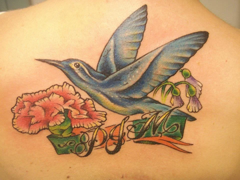 robsbluebirdirish.jpg