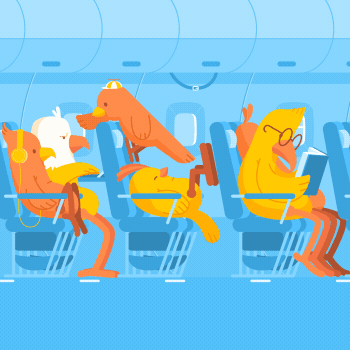 AirplaneBirds_350.gif