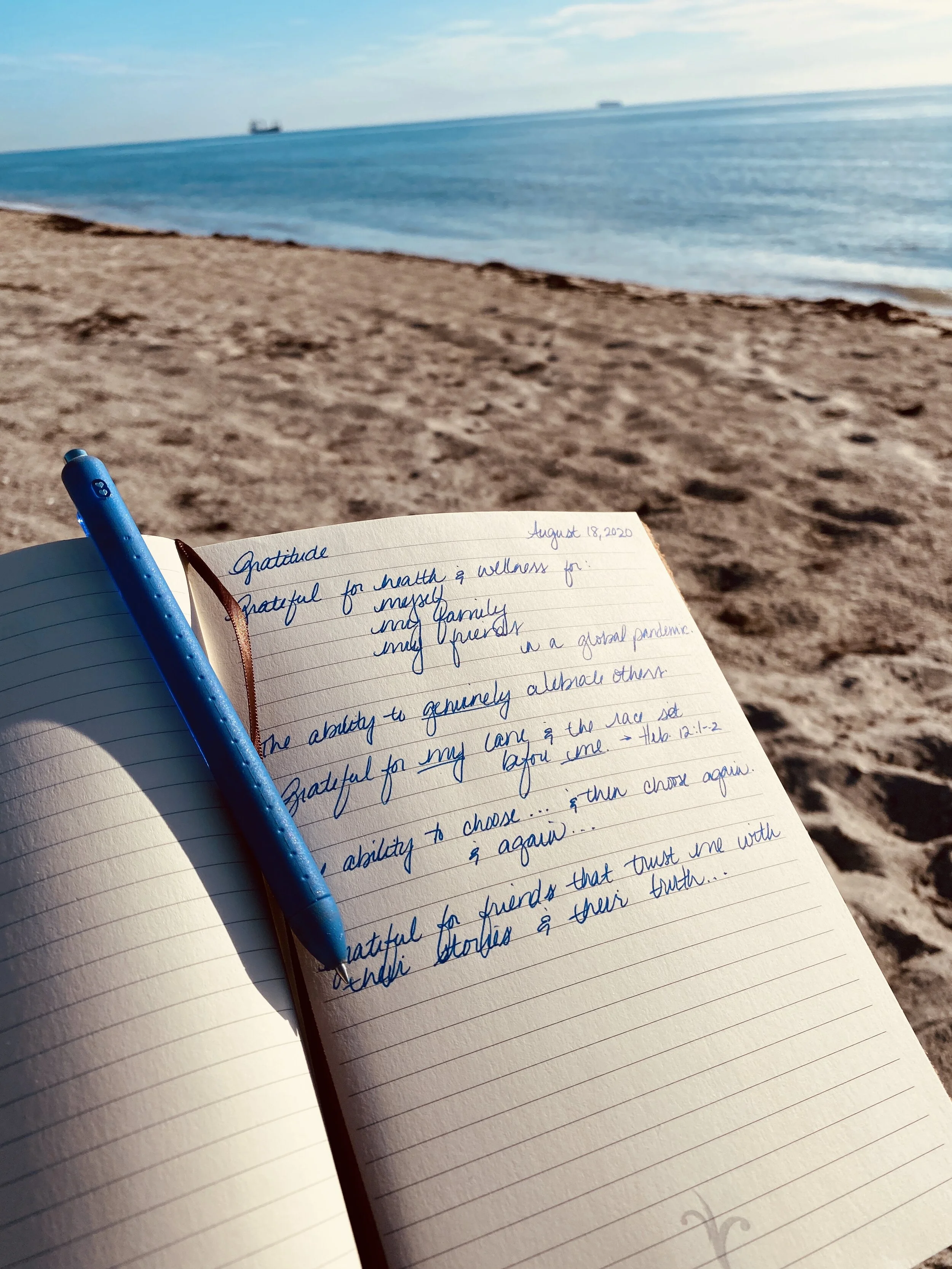 Gratitude Journal No. 1