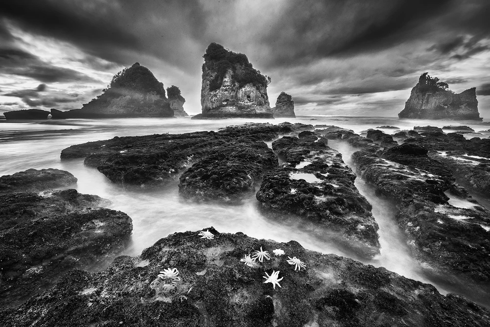 West Coast, New Zealand