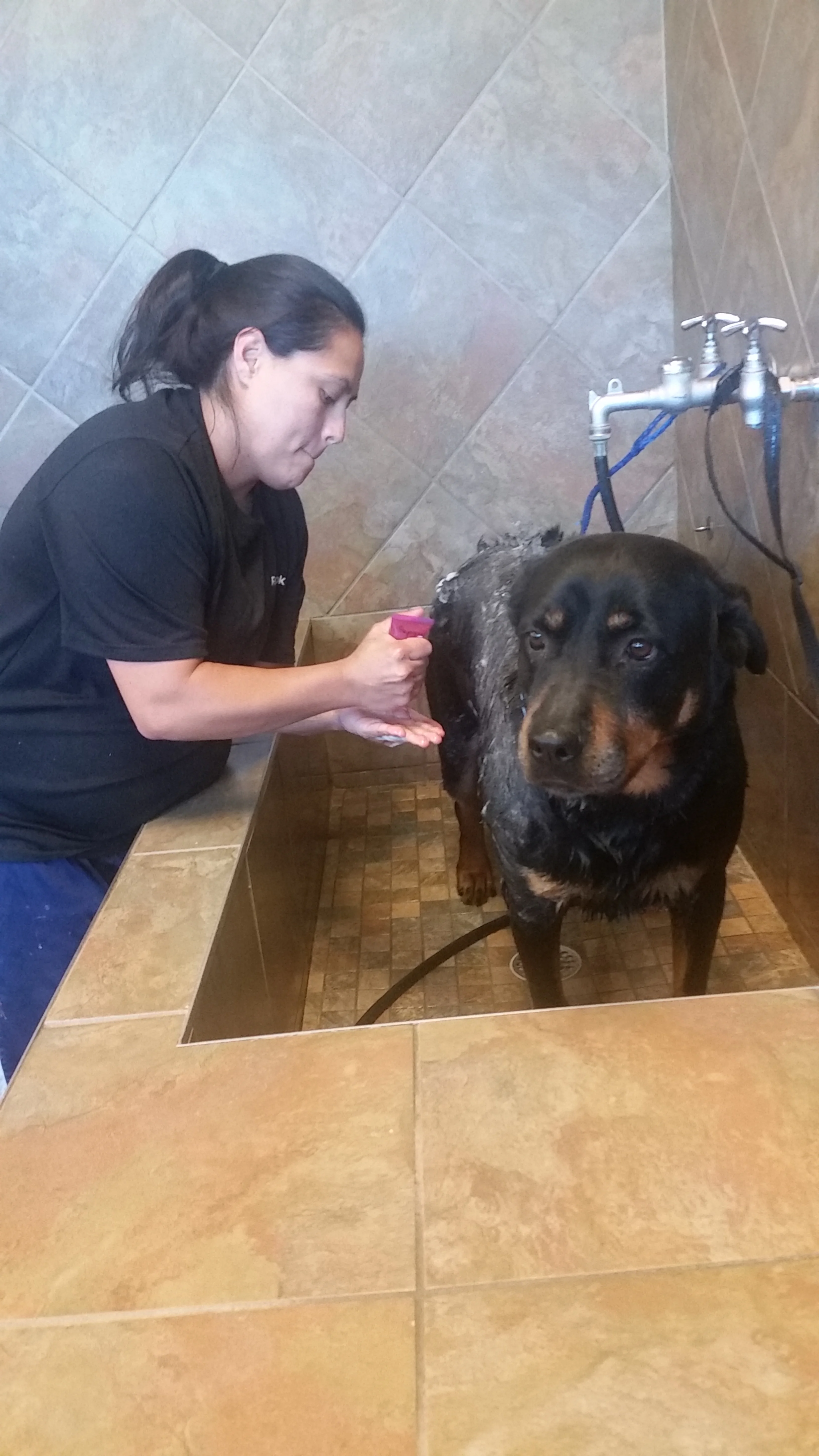 Bath grooming