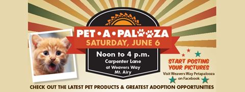 Petapalooza!